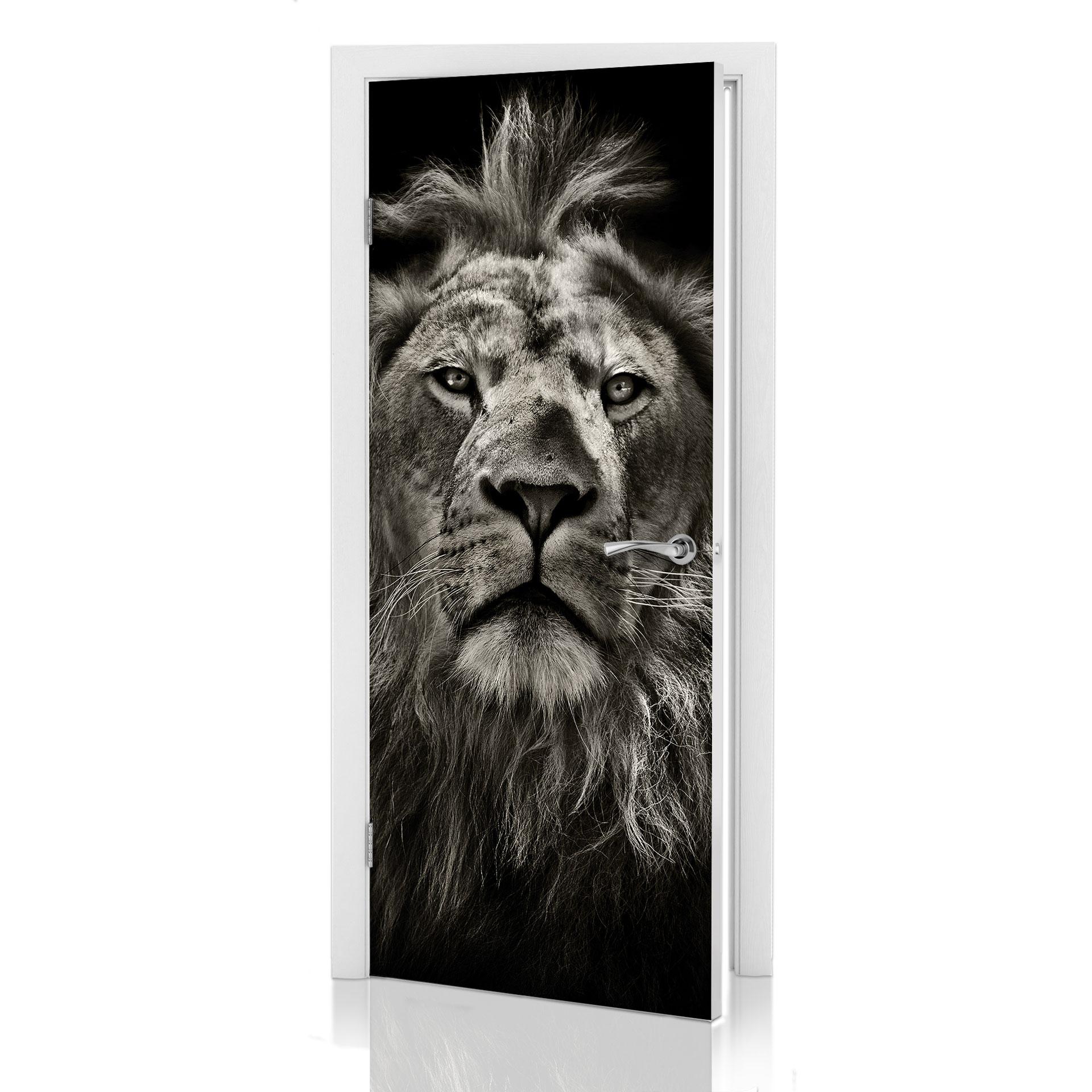 Diseño de la puerta León 91x200 cm