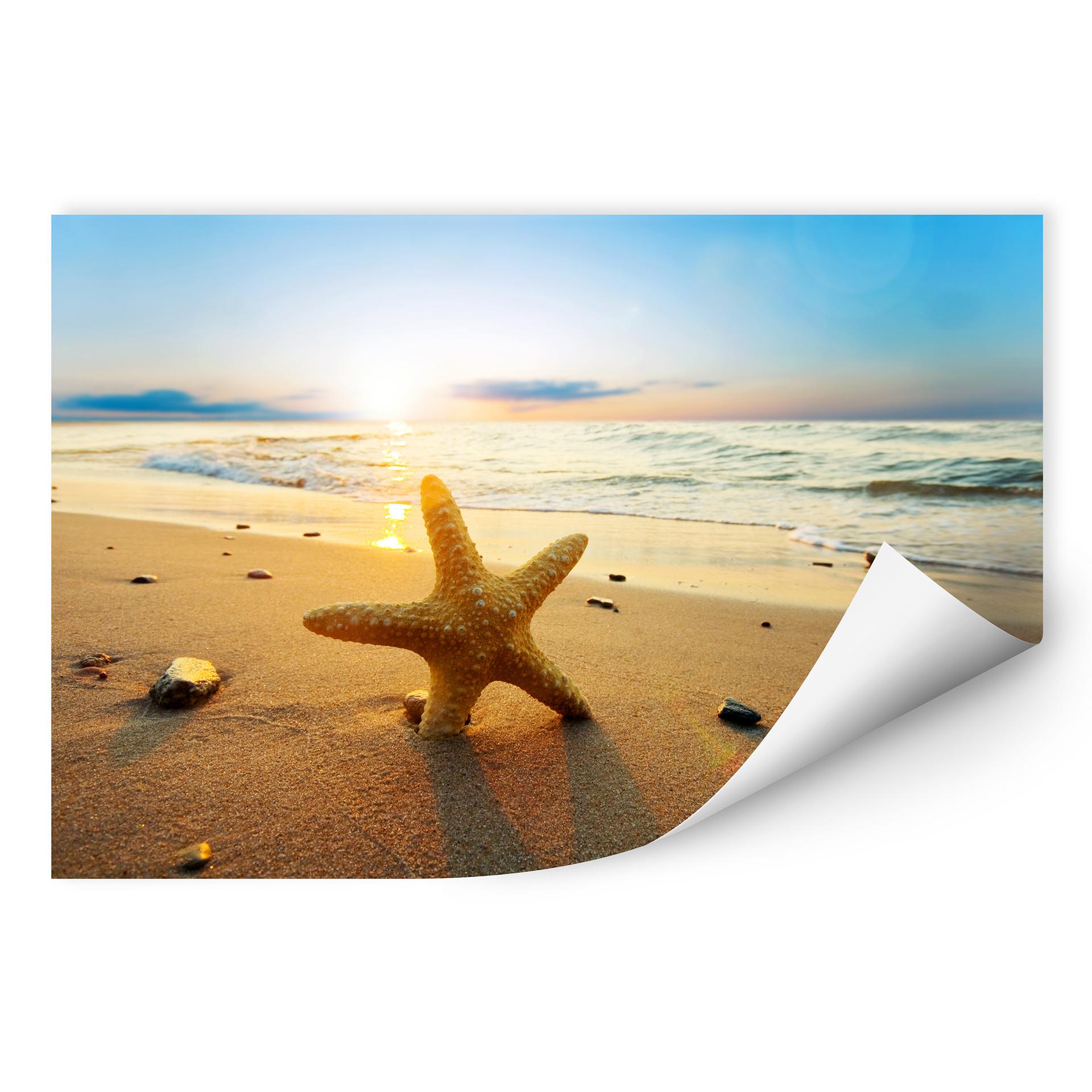 Zelfklevende Poster - Zeester op het Strand