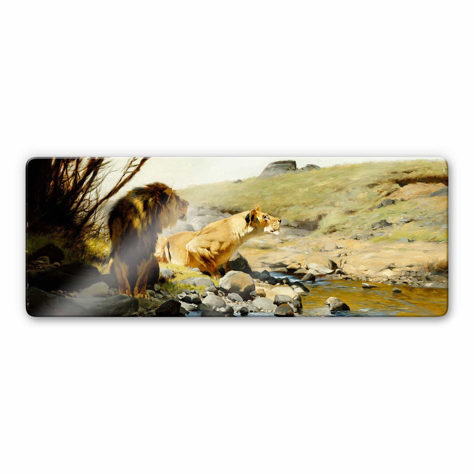 Tableau en verre - Kuhnert - Un lion et une lionne au bord d'un ruisseau
