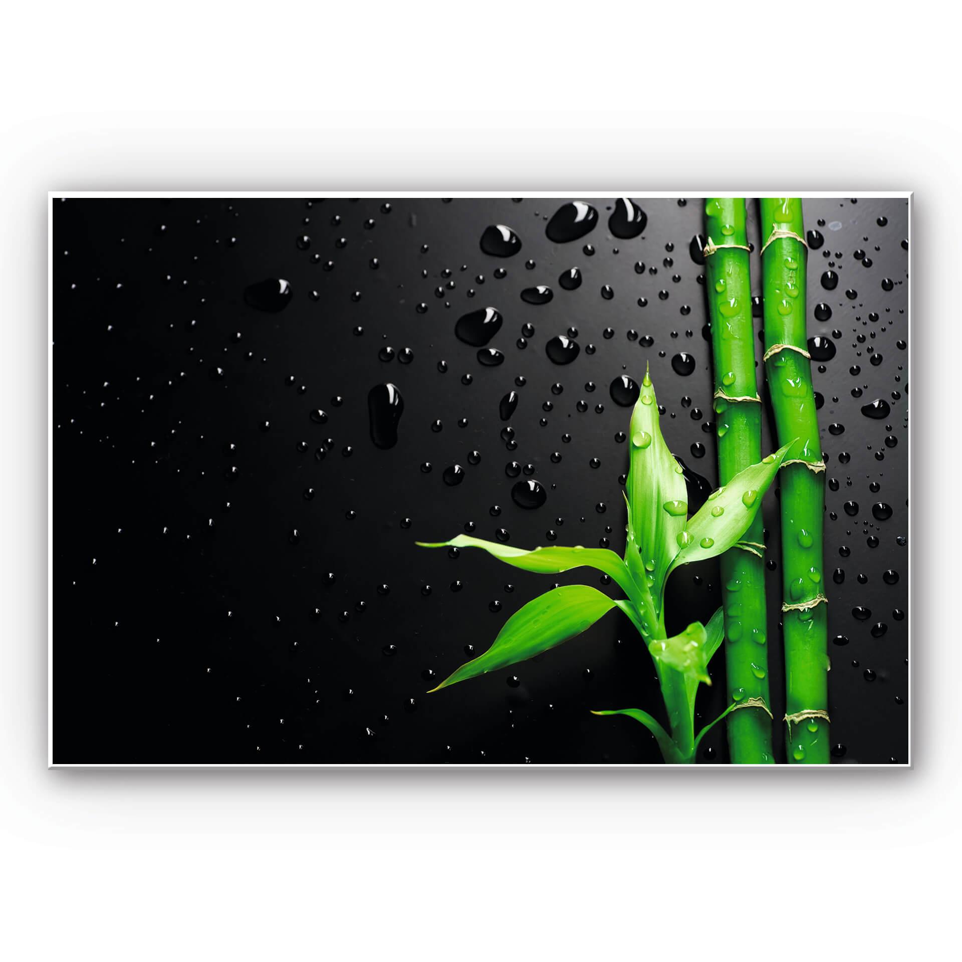 Tableau Forex - Bambou sur fond noir