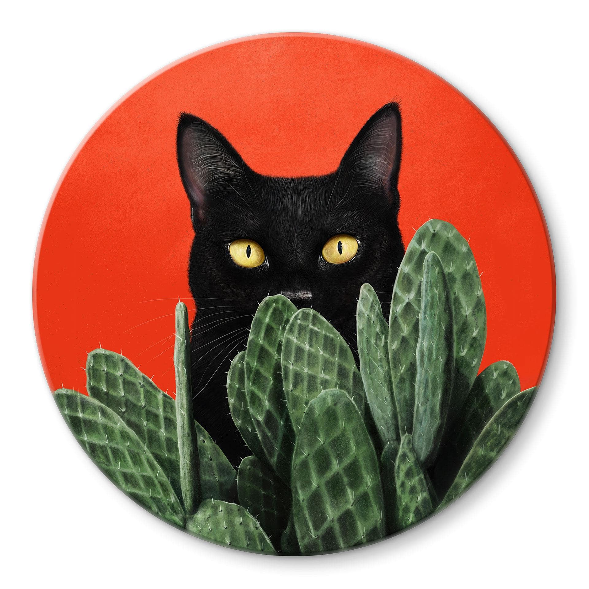 Tableau sur verre Chat noir caché dans les cactus Rond - Korenkova