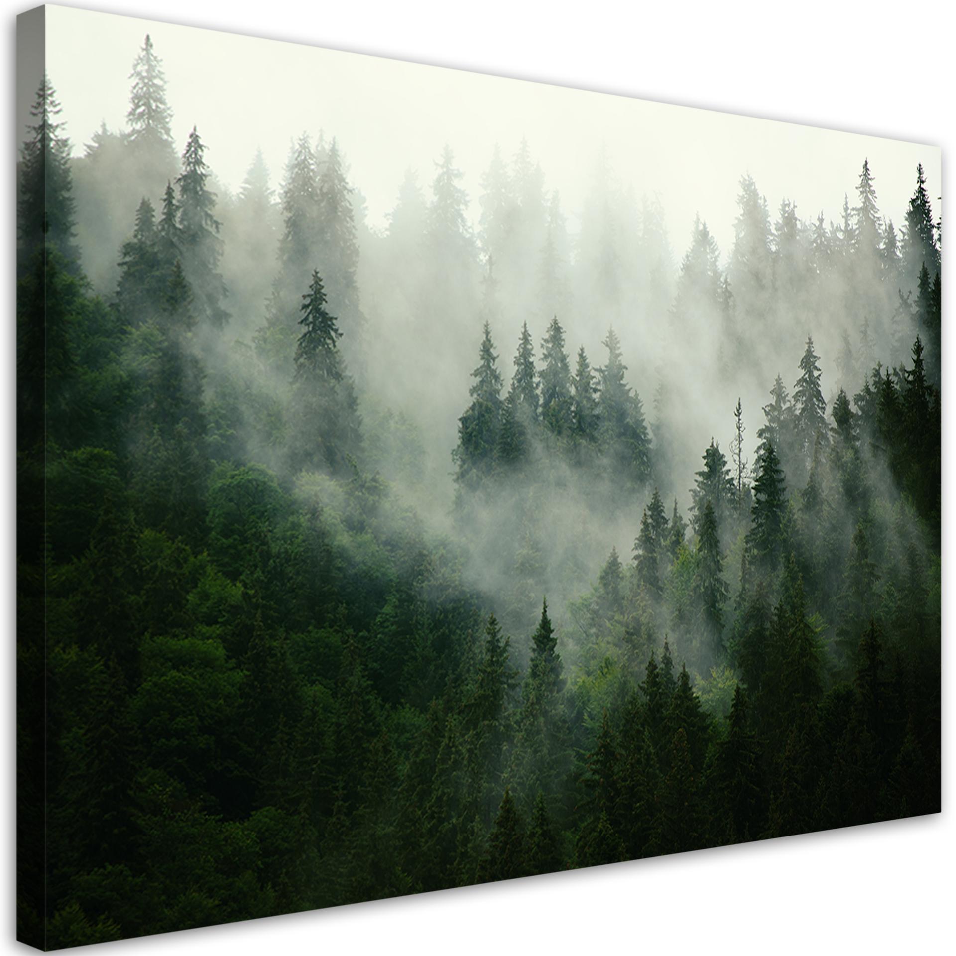 Canvasbillede, Skov i tåge
