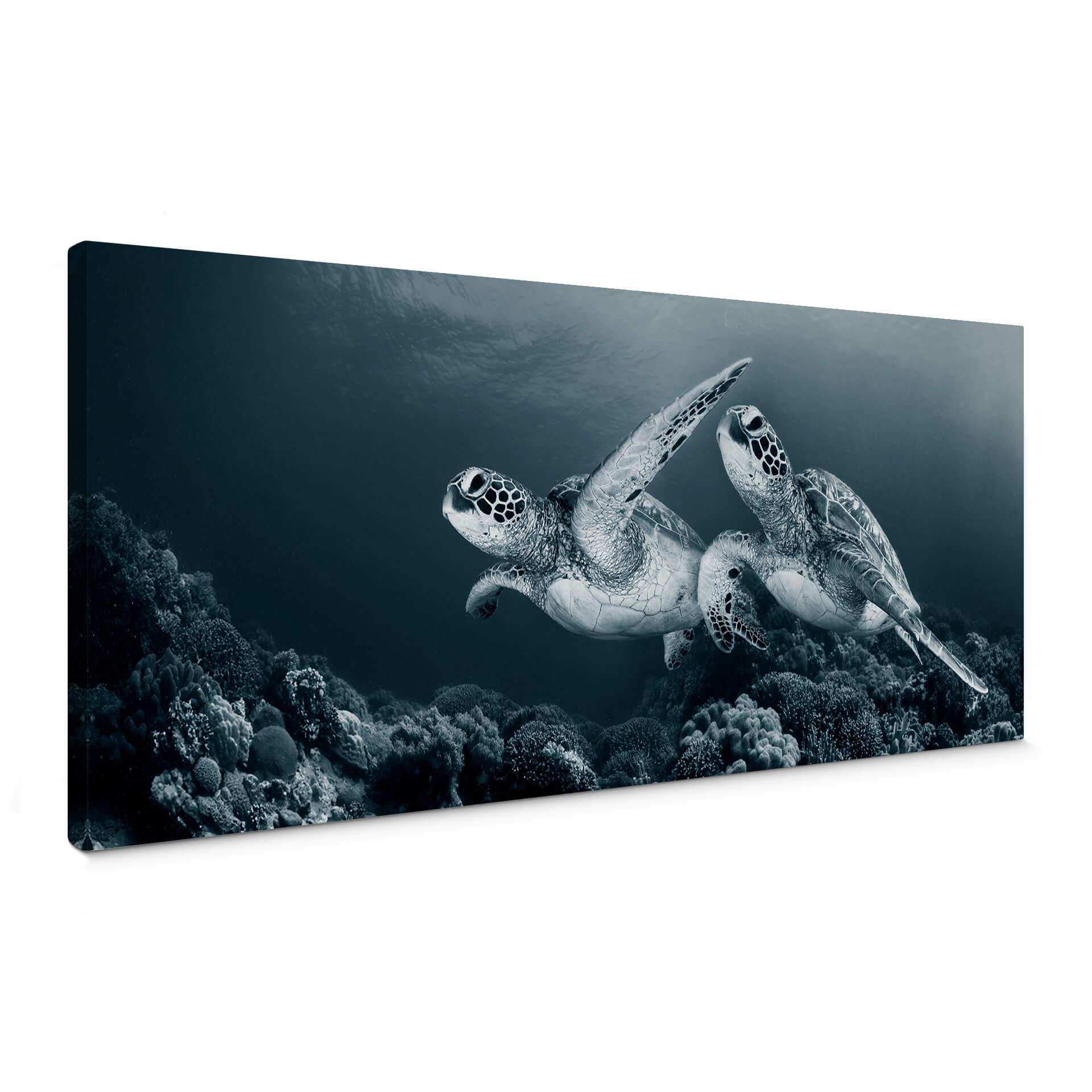 Canvasbillede - Narchuk - Traveling Turtles