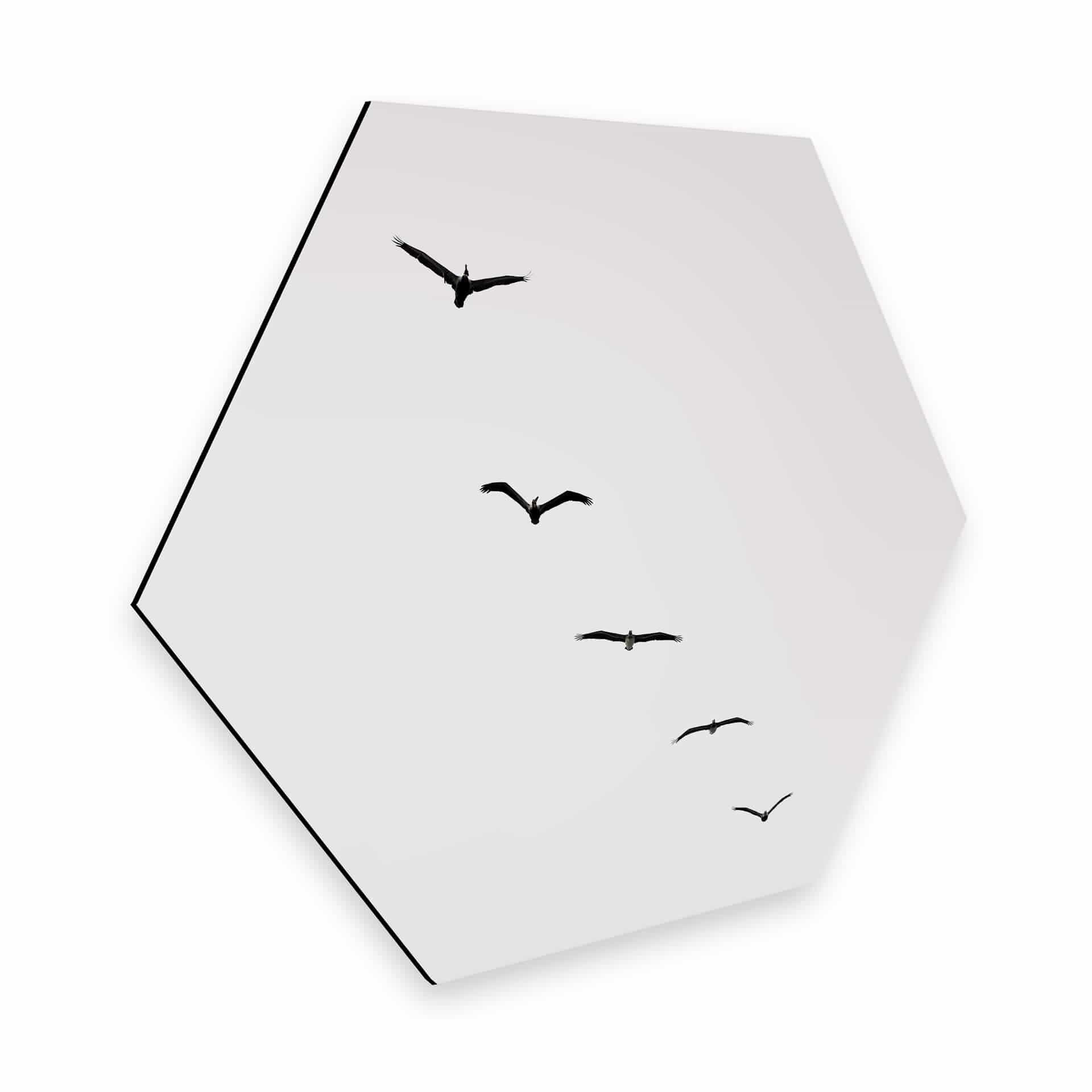 Hexagon Dibond Kubistika - High in the Sky