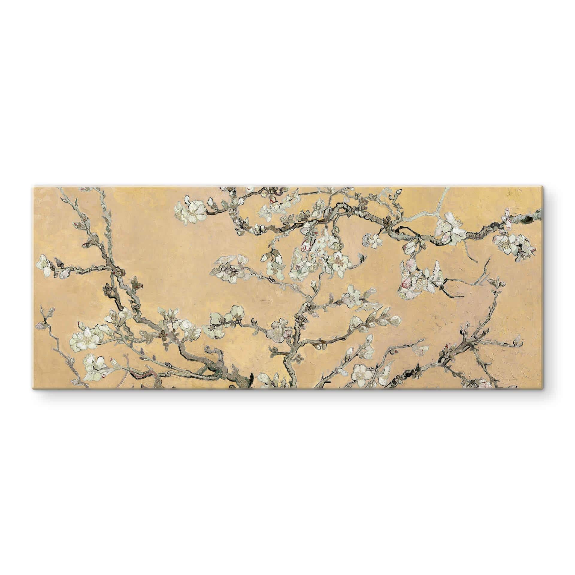 Glasschilderij van Gogh Amandelbloesem crème - panorama