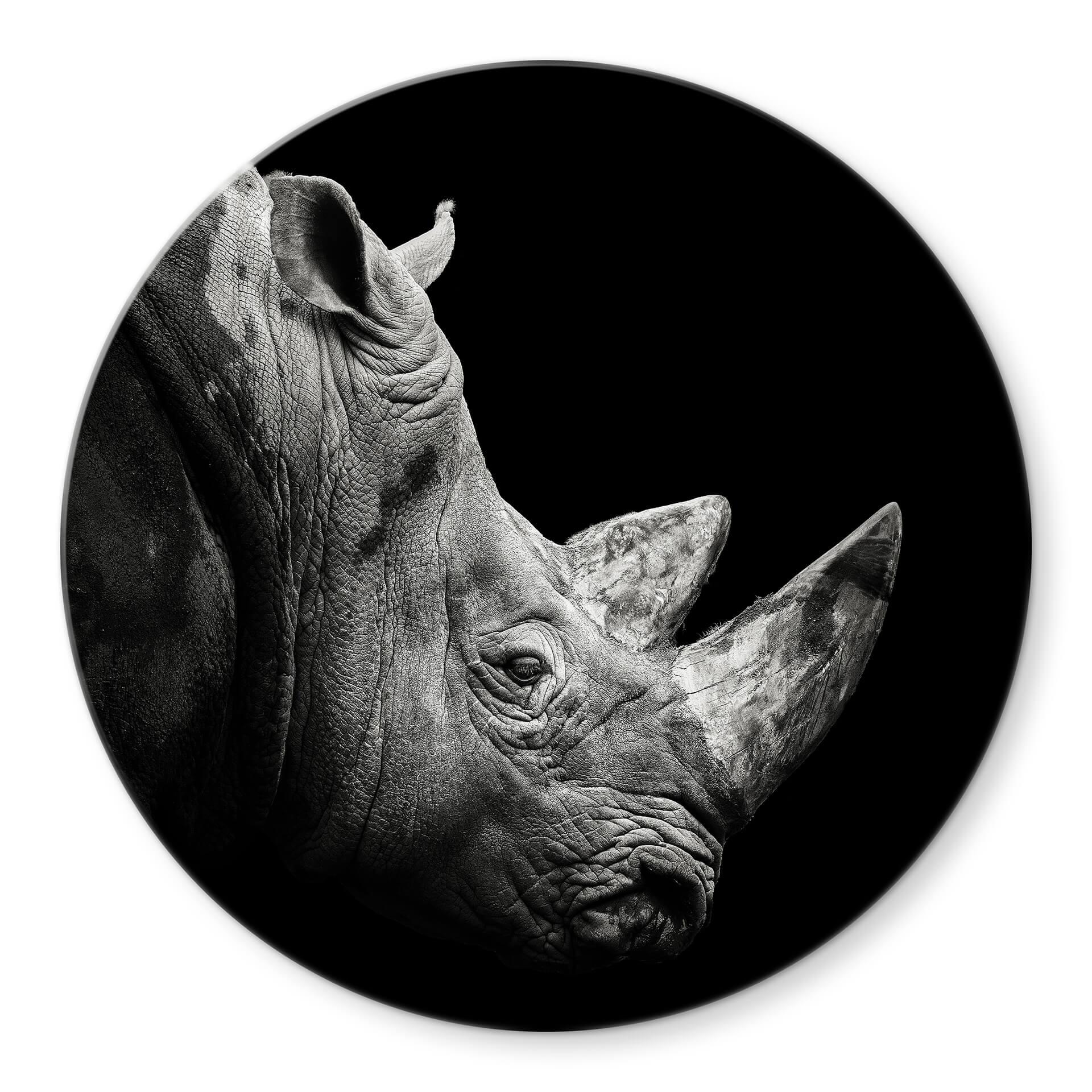 Tableau en verre Meermann - Le rhinocéros - Rond