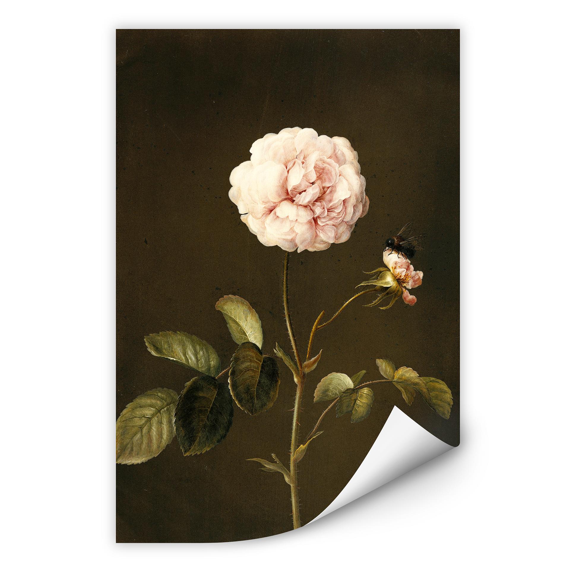 Zelfklevende Poster  Dietzsch -  Bloem met Hommel