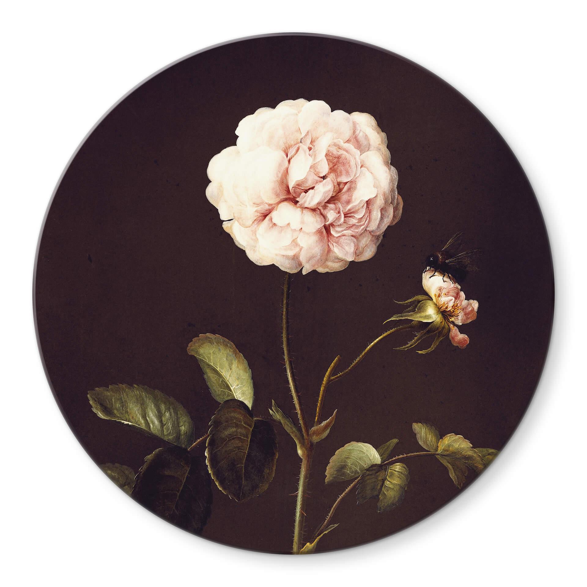 Glasschilderij Dietzsch - Roos met Hommel