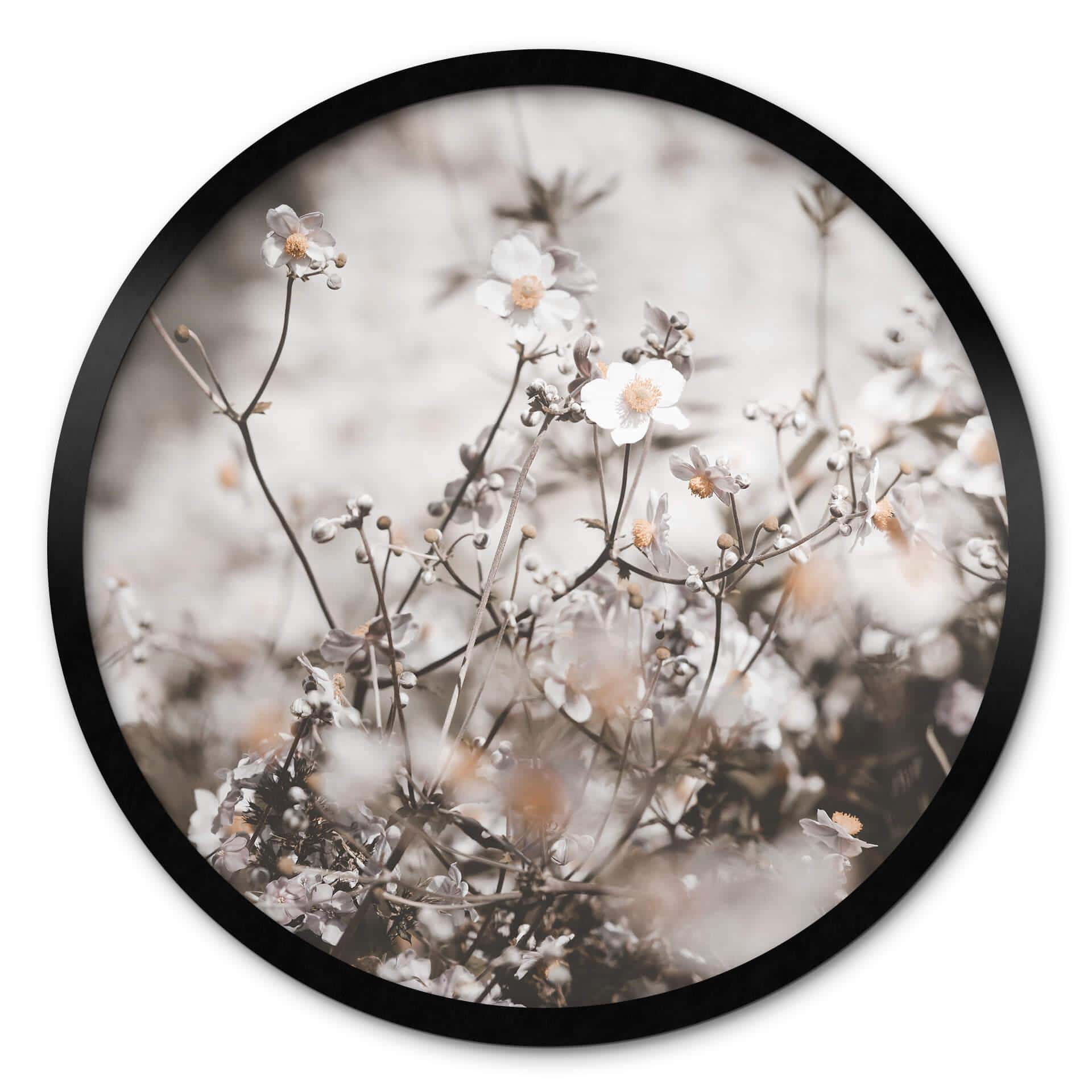 Plakat Annie - Wild Grass