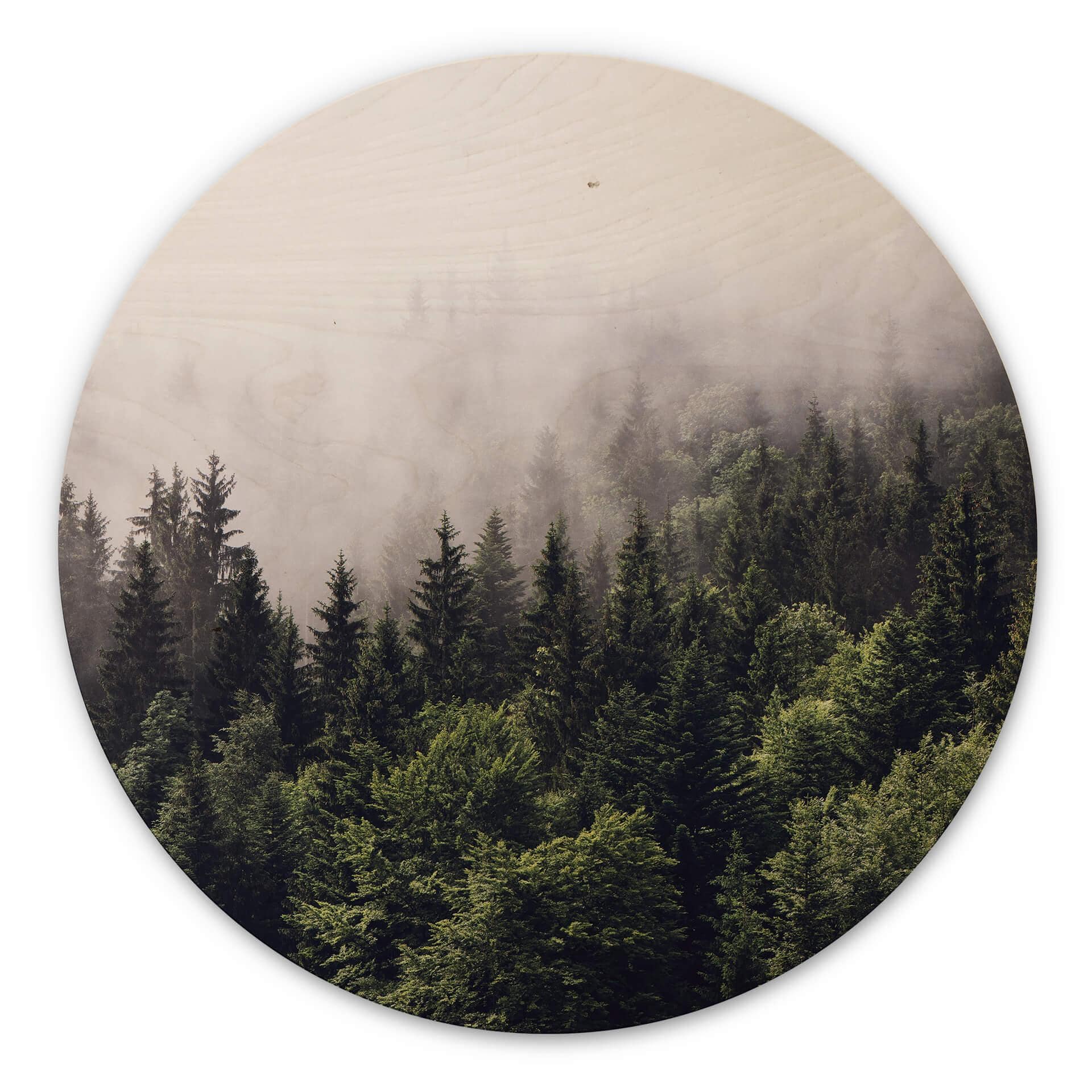 Billede af træ Tåget skov - Rund