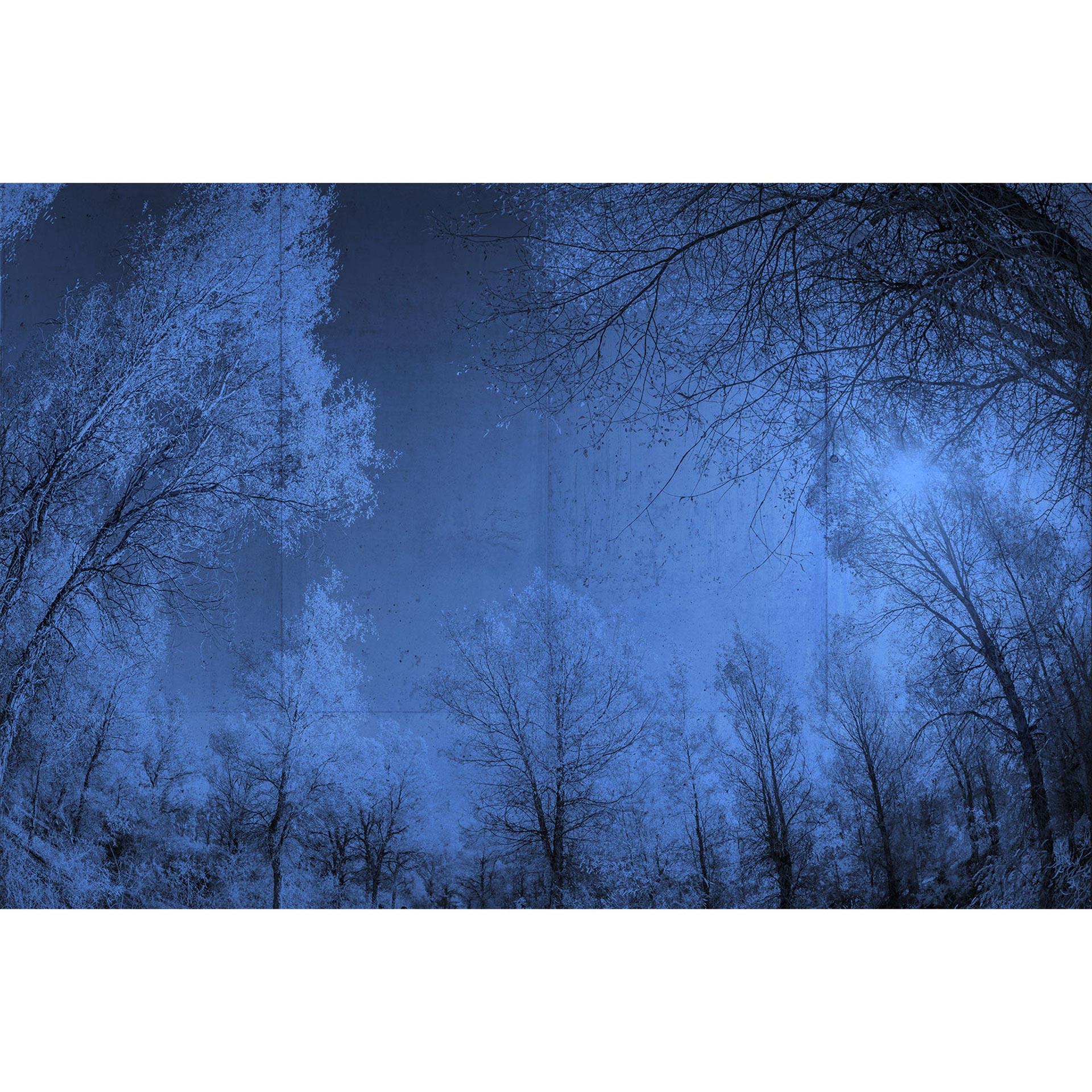 Architects Paper Fotobehang Atelier 47 Forest