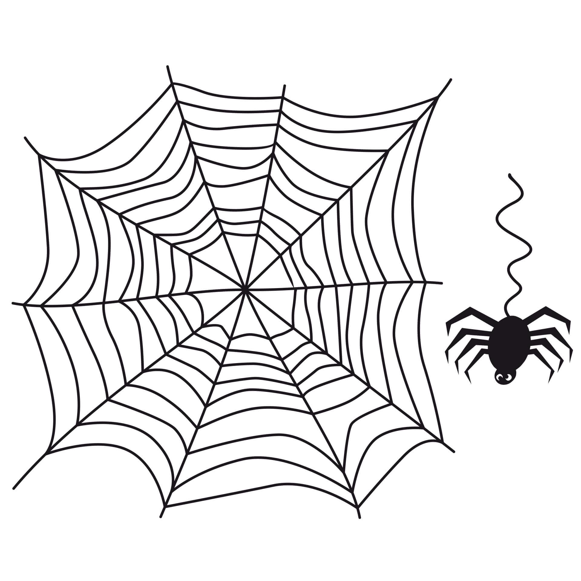 Ragnatela