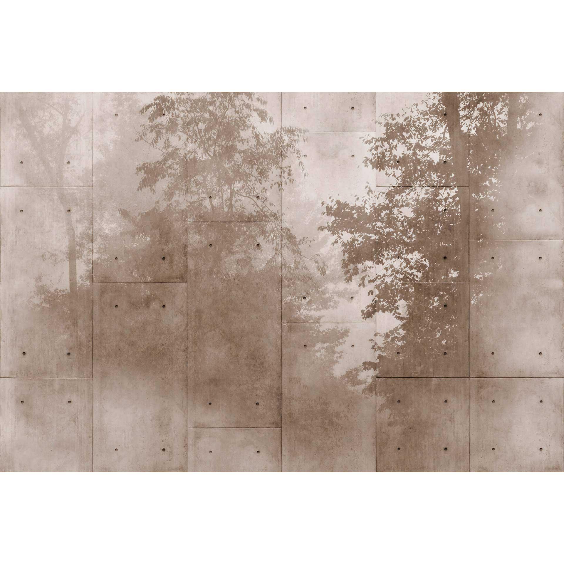 Betonlook fotobehang met boomschaduwen sepia - vliesbehang natuur illusie