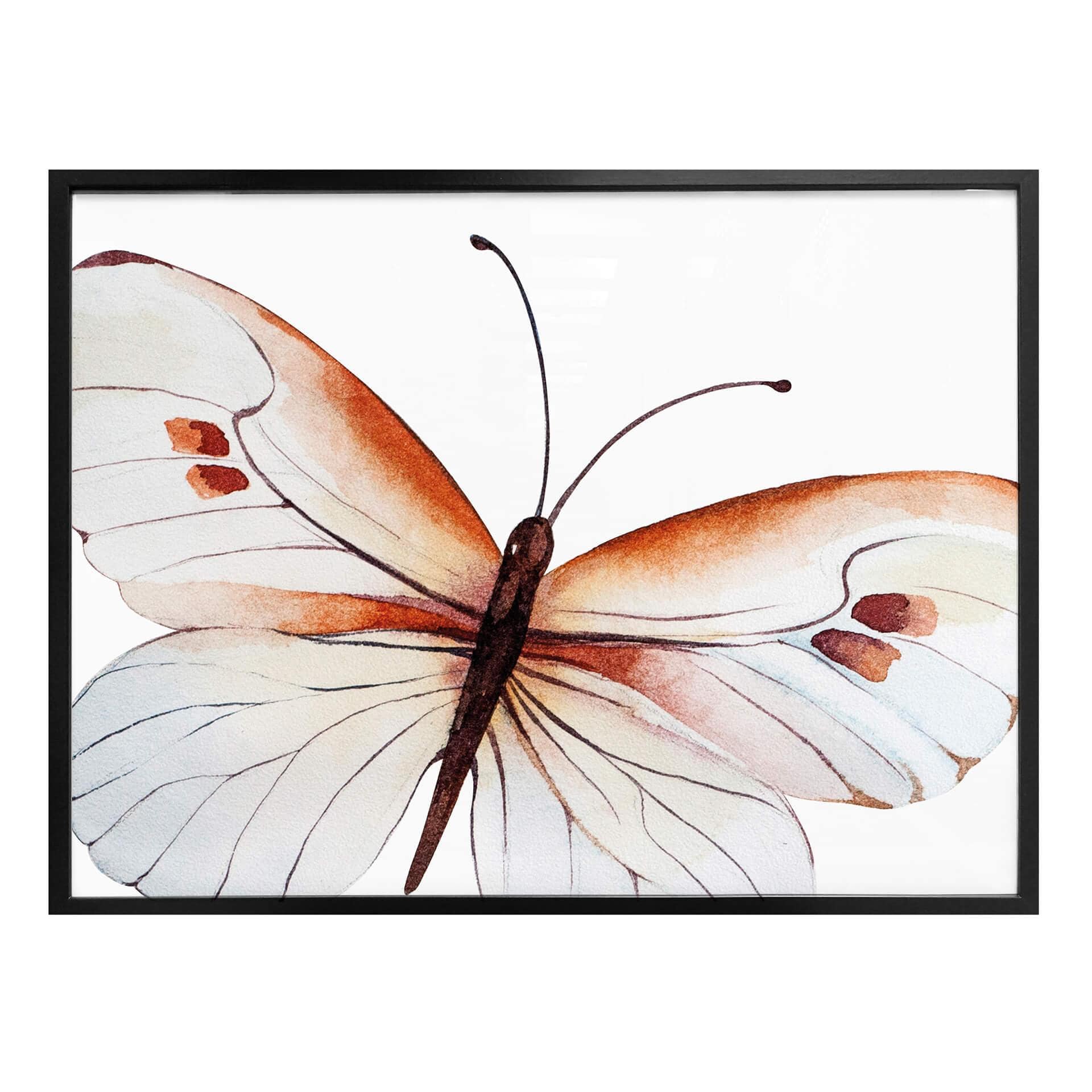Poster Kvilis - Butterfly 04