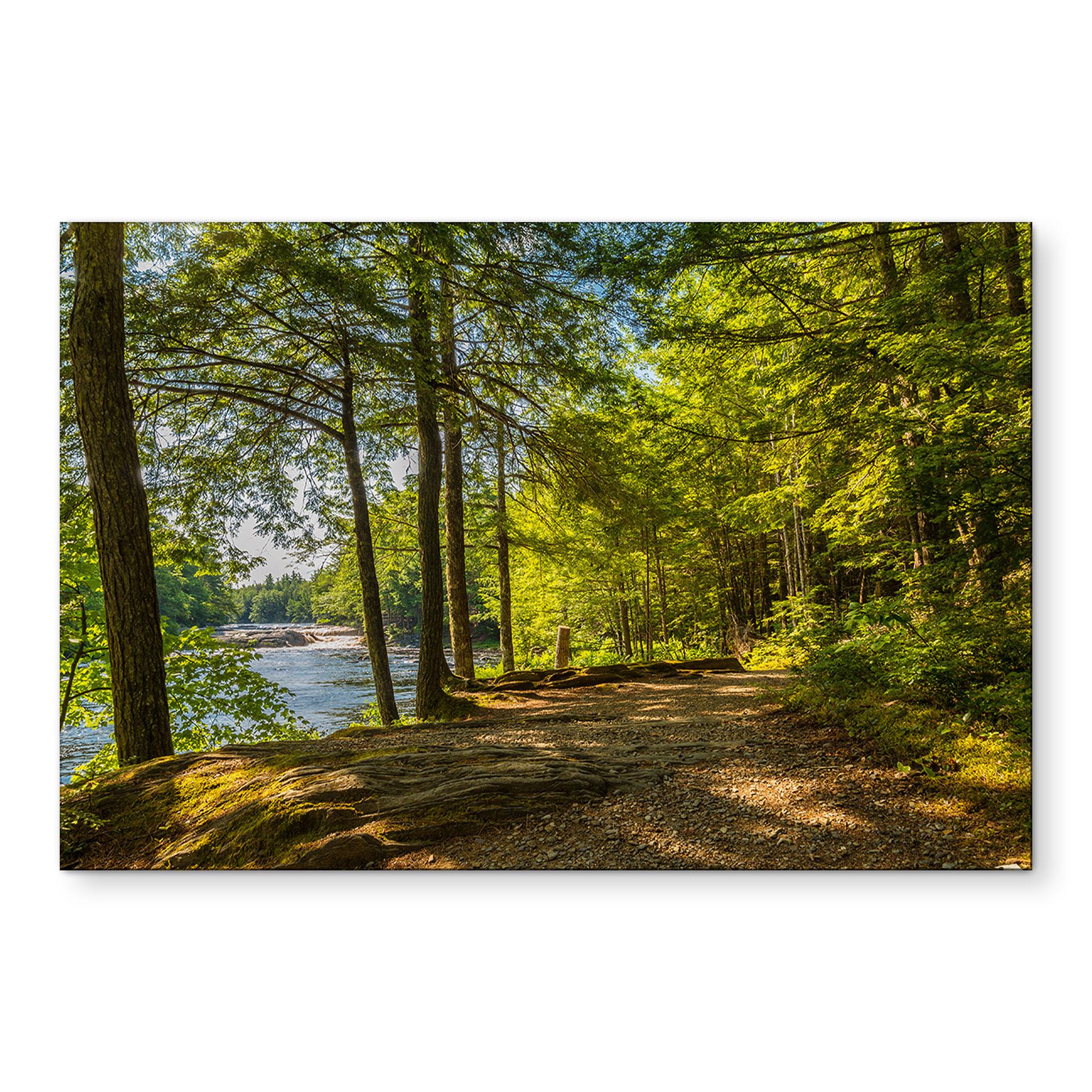 Wandbild Waldweg am Fluss - Alu-Dibond