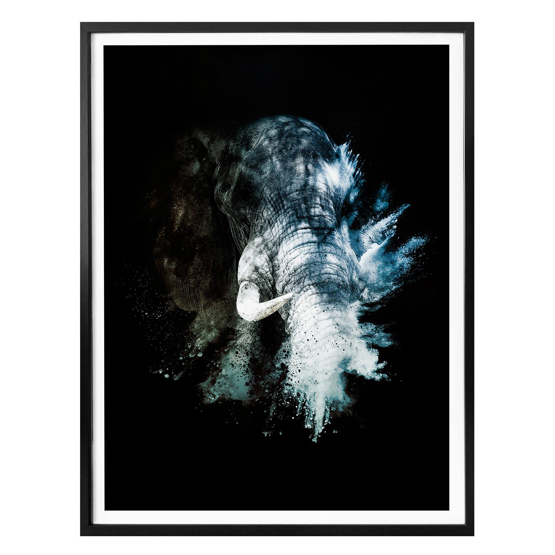 Poster Hugonnard - Vild explosion: Elefant