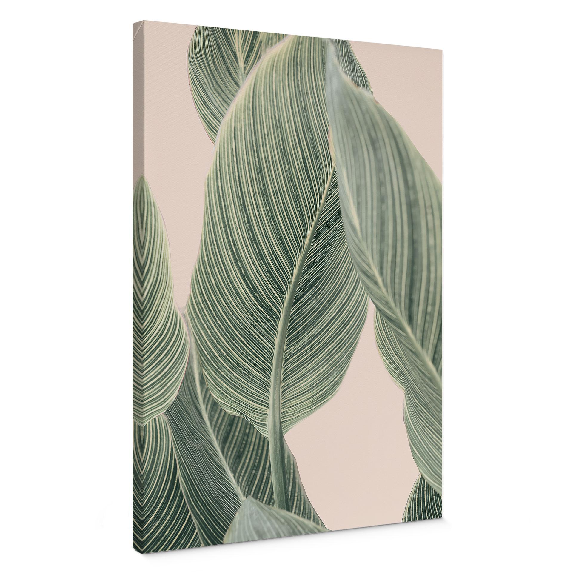 Lærredsprint - Calathea-plante - Sisi & Seb
