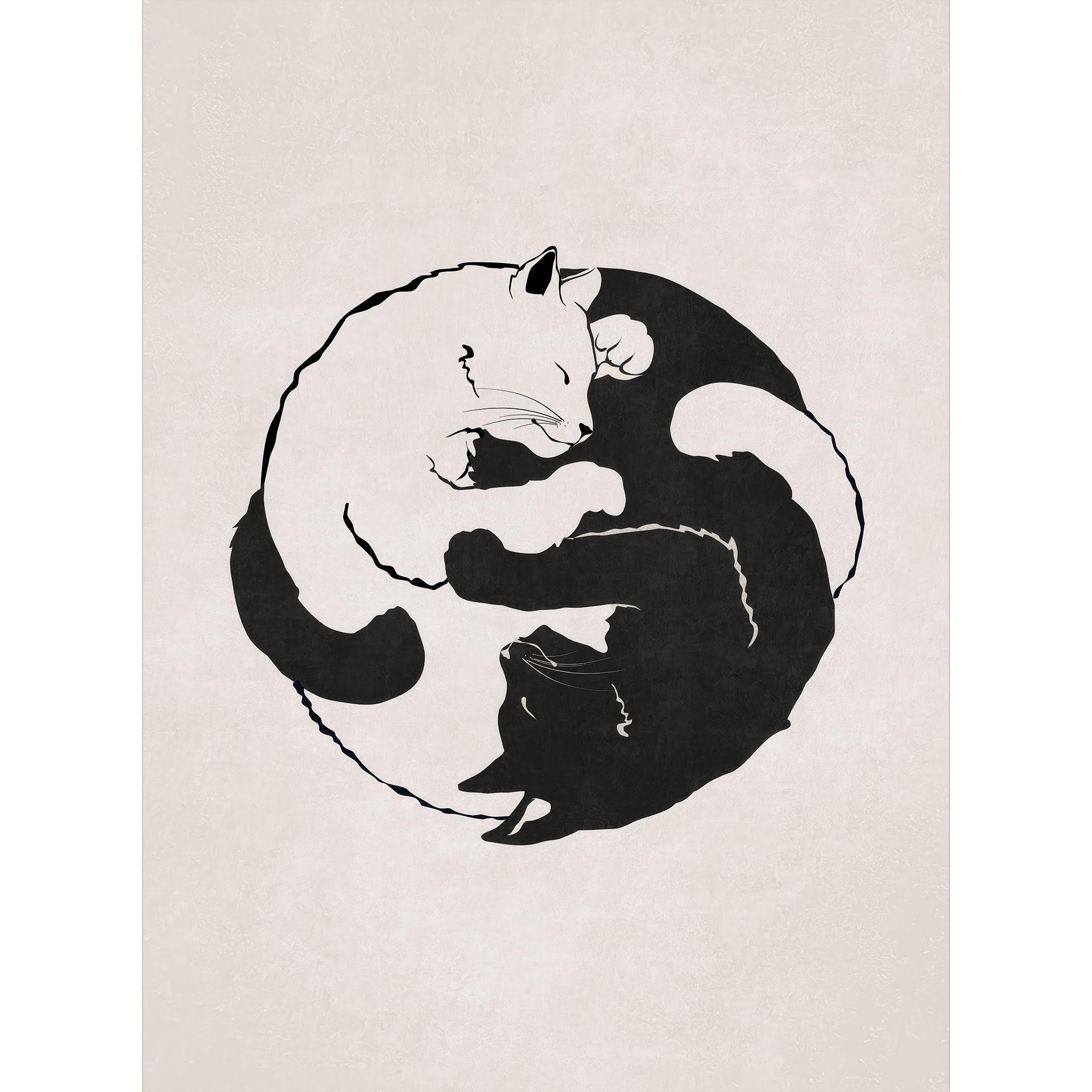 Fotobehang Katten Ying & Yang - Tunaboylu