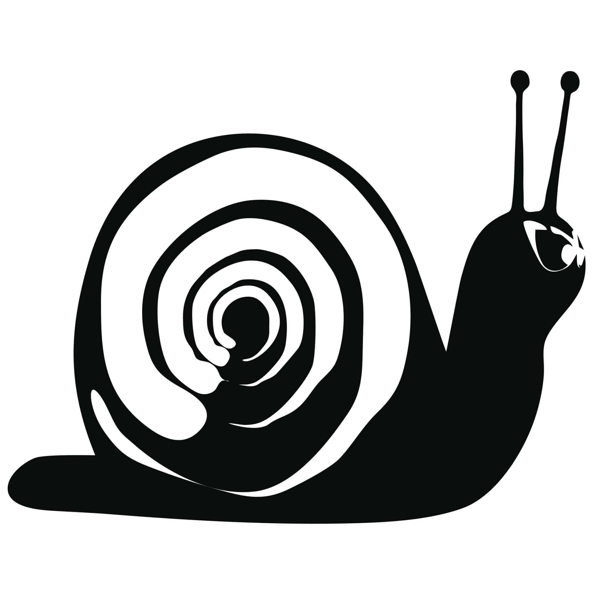 Wallsticker Snegl 2