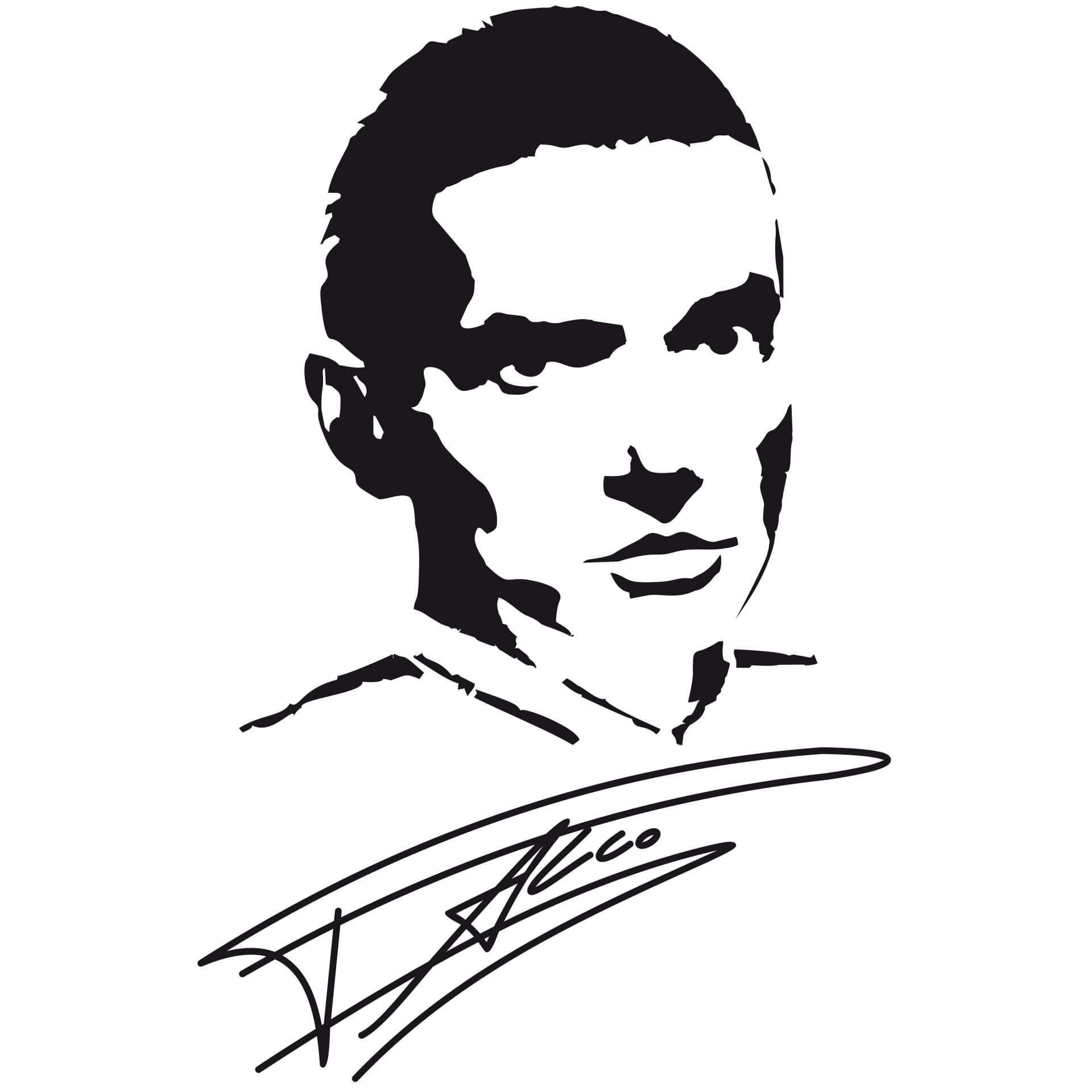 Wandtattoo Falco