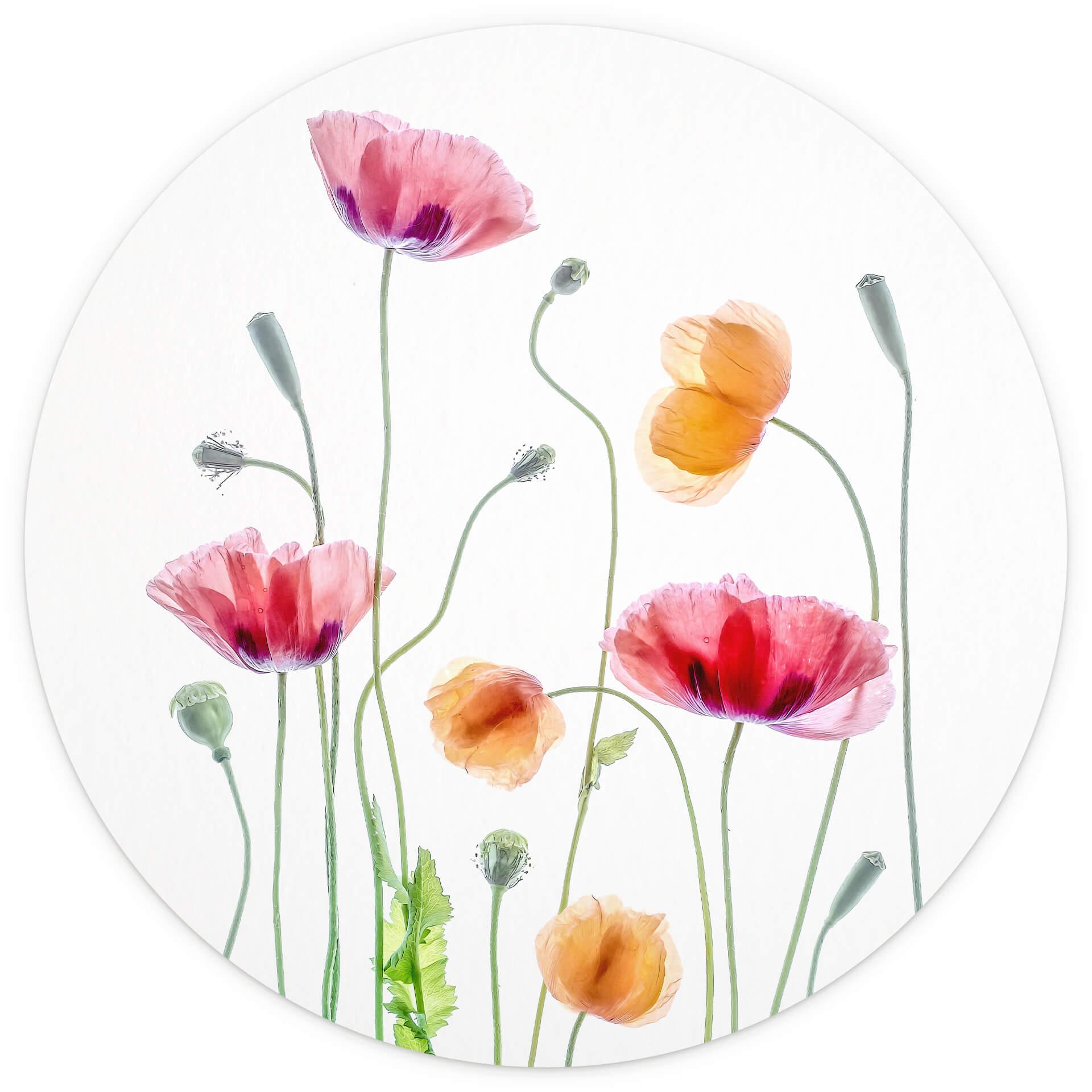 Behangcirkel Disher - Colourful Poppies - vliesbehang/zelfklevend vliesbehang