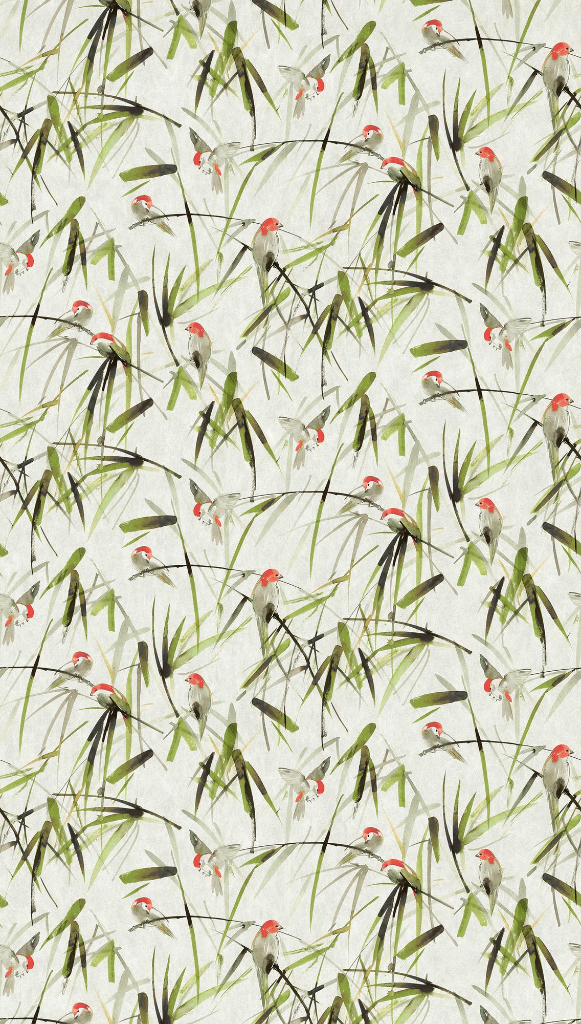 vogel behang beige groen - vliesbehang dieren Livingwalls - mat en glad