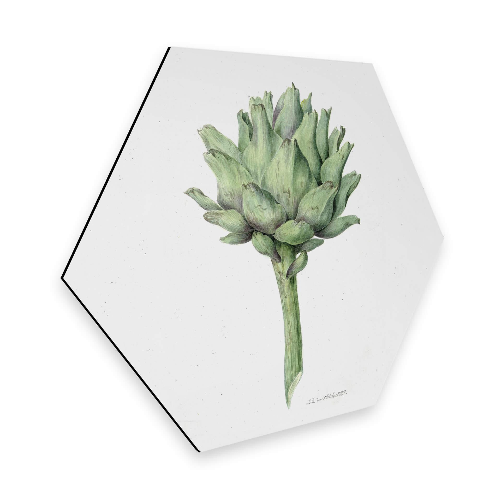 Hexagon Dibond Bernard - Artisjok