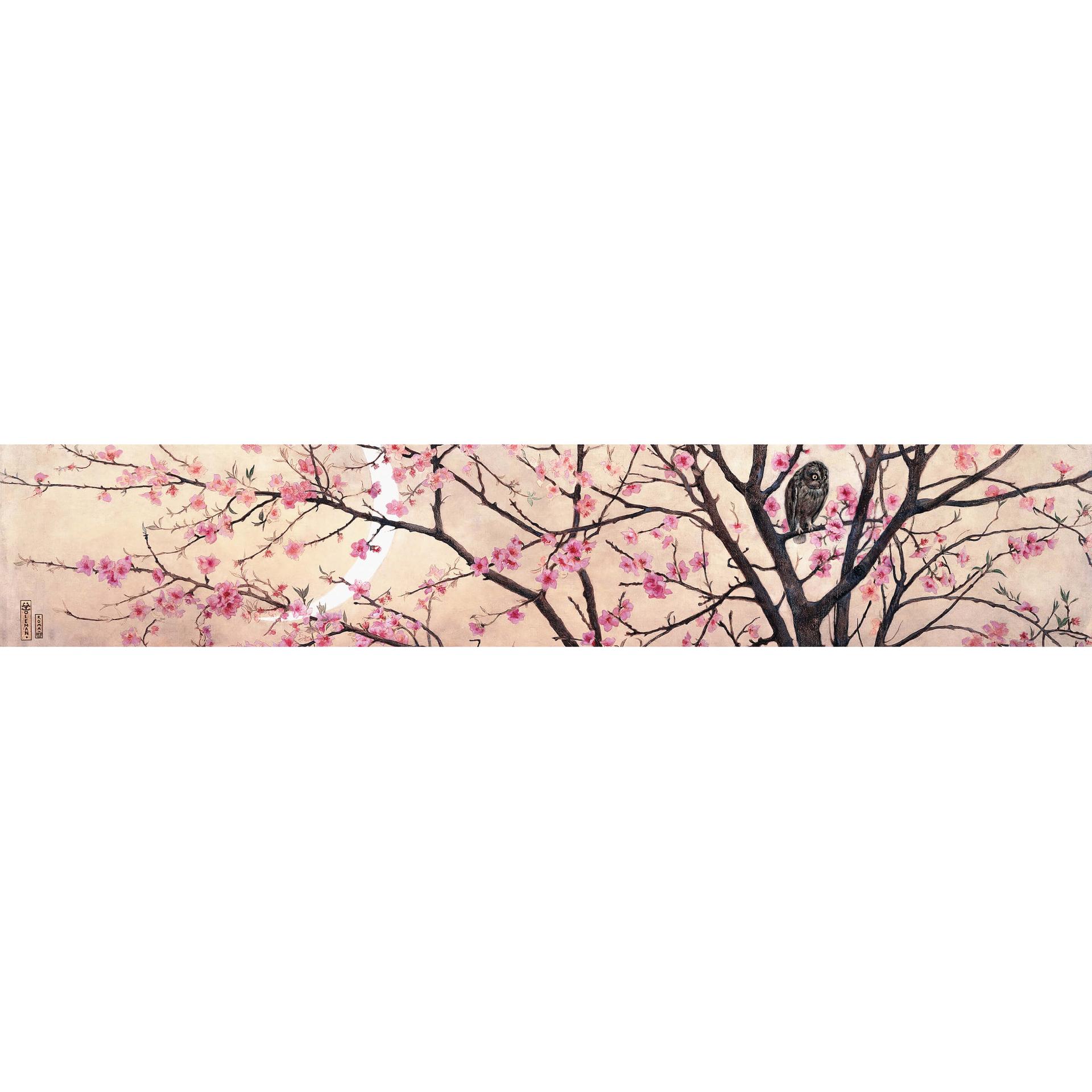 Fototapete Coleman - Primavera - Panorama - 48x260 cm