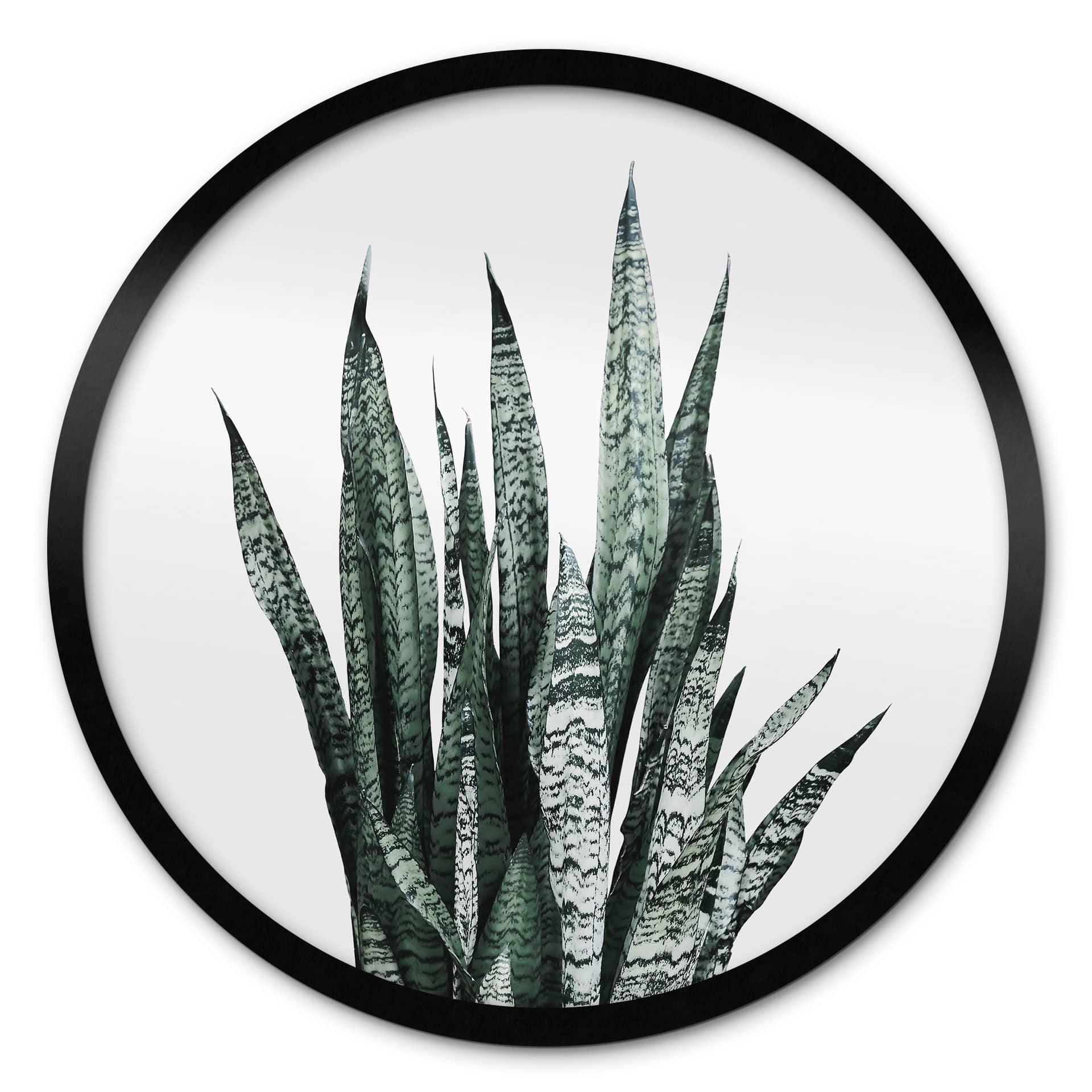 Plakat Plante - Sisi & Seb