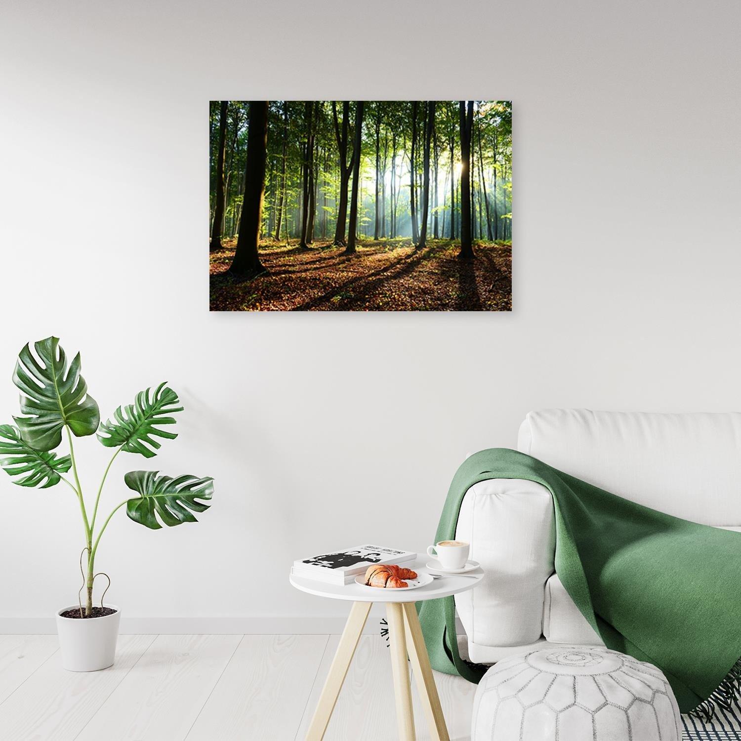 Canvasbillede, Skov ved solopgang