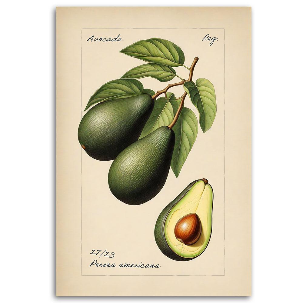 Canvasbillede, frugthøst avocado