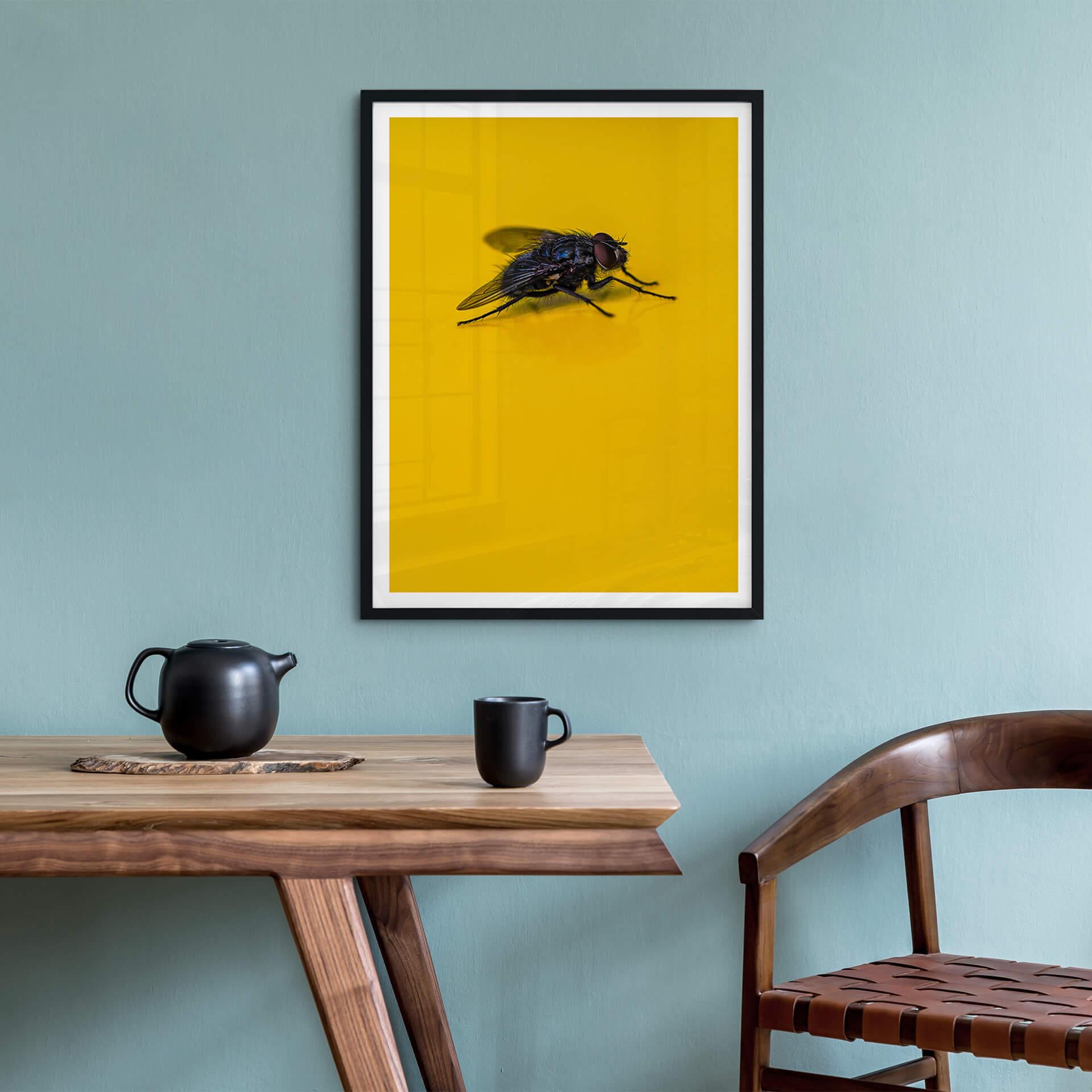 Plakat brązowy - Motyl domowy na żółtym tle