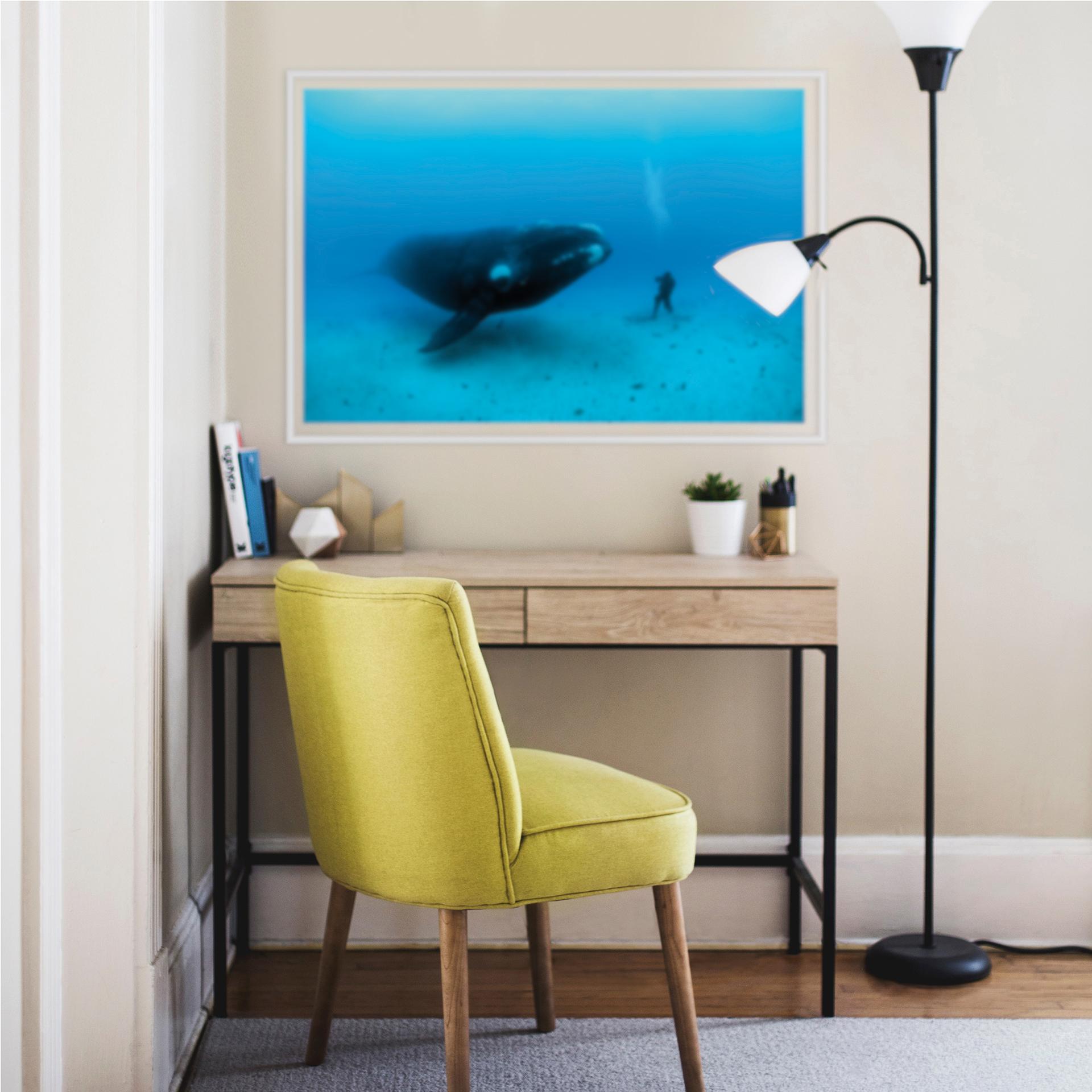 Zelfklevende Poster National Geographic Walvis met Duiker