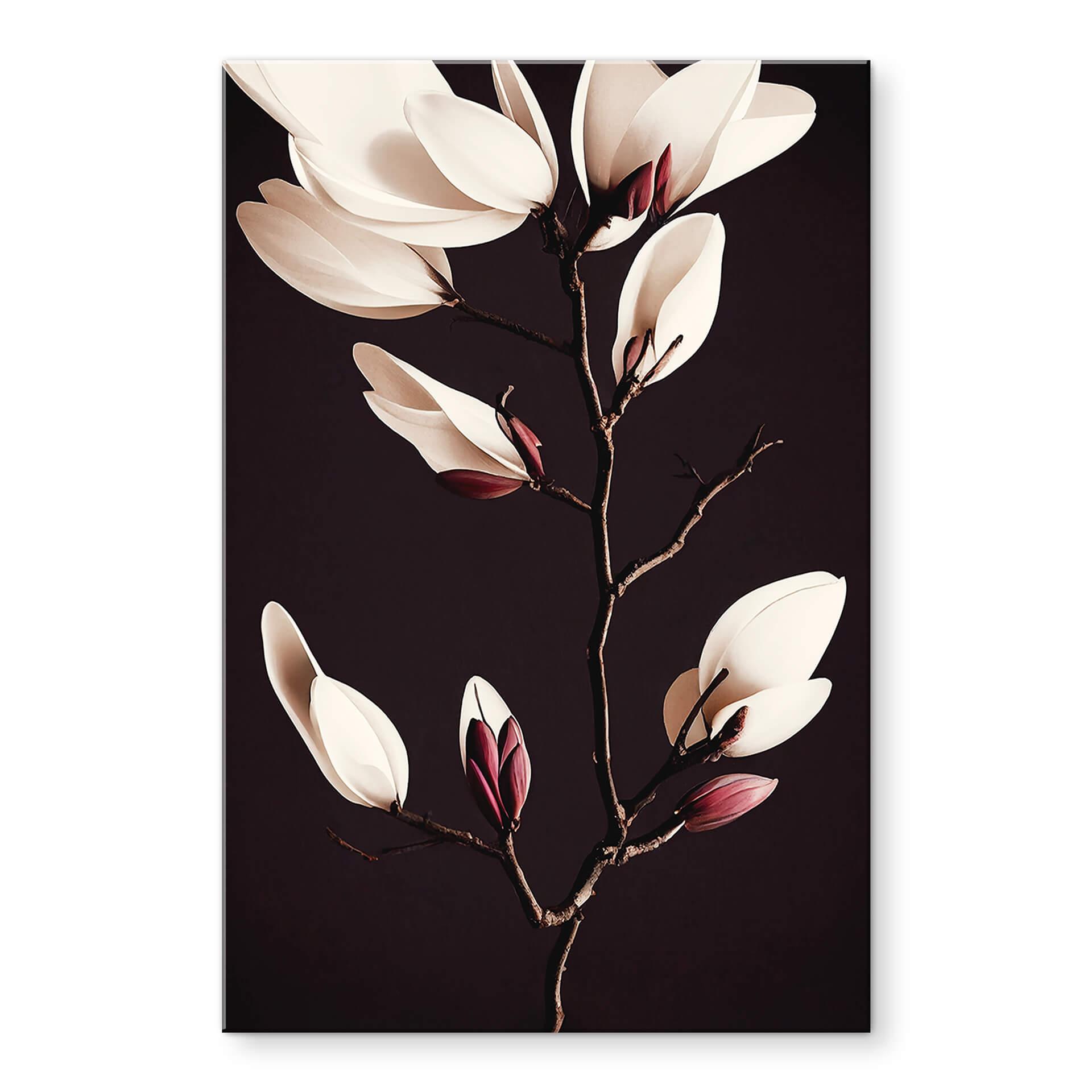 Akrylbillede Treechild - Magnolia Blossoms