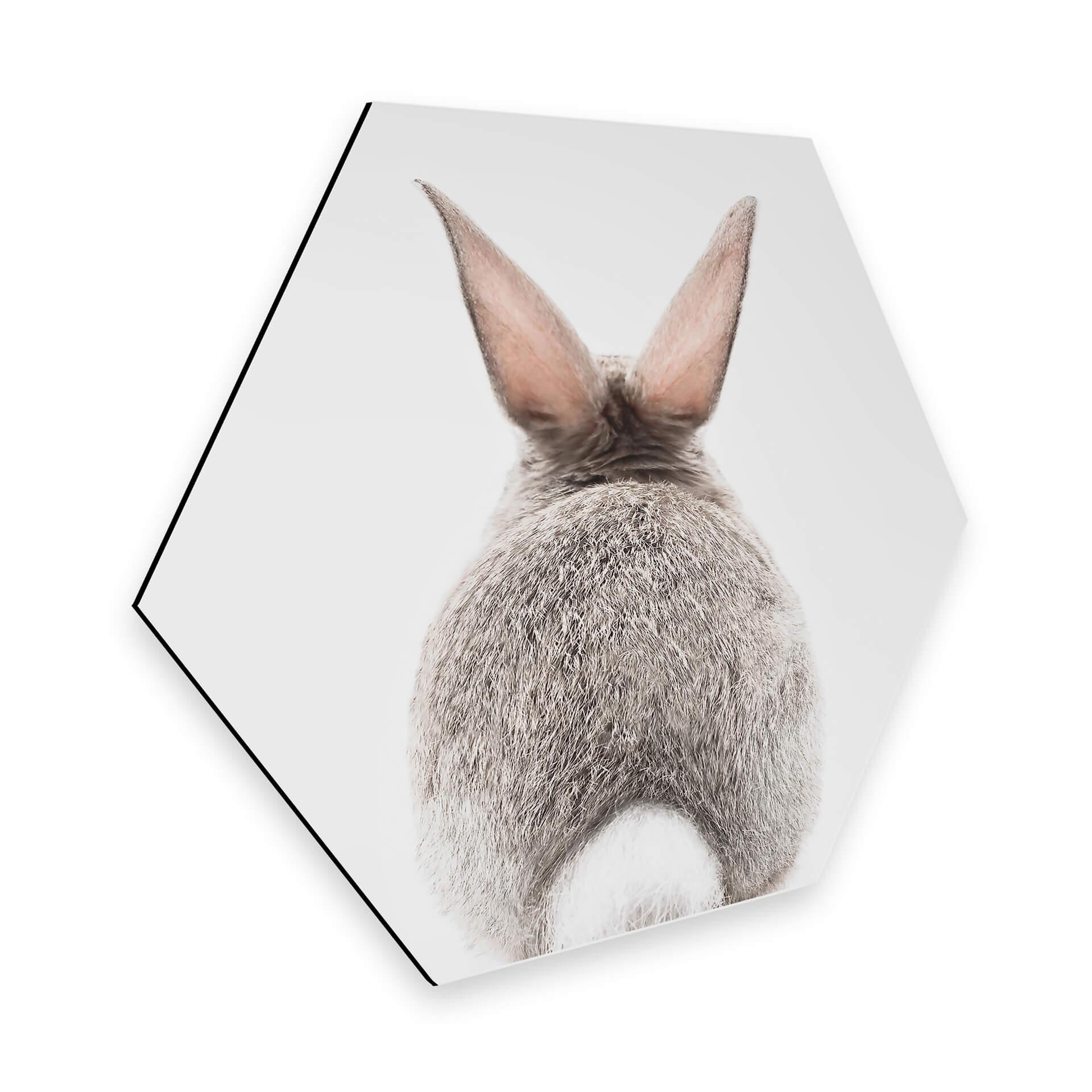 Hexagon Alu-Dibond - Sisi & Seb - Hi Bunny