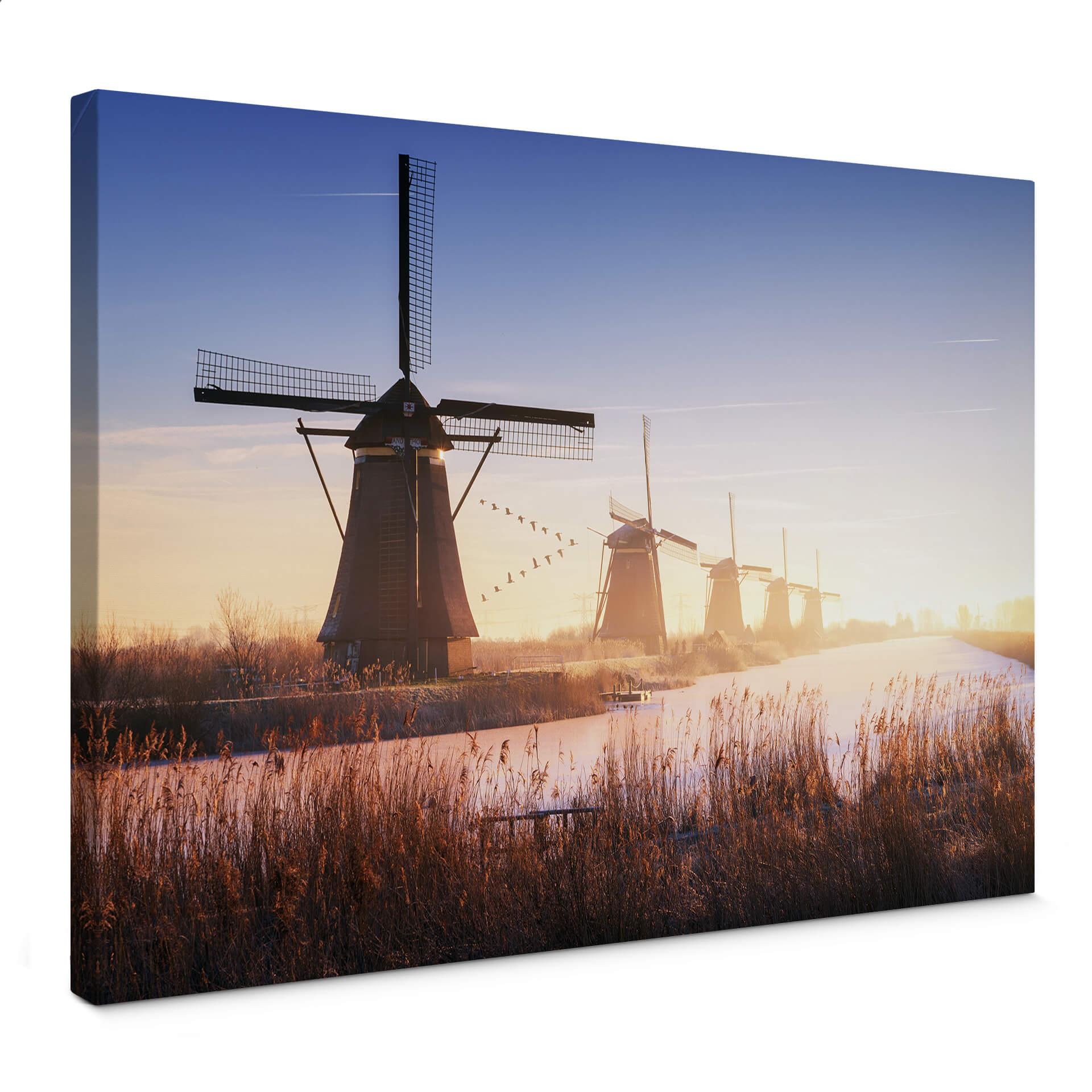 Canvasbillede - Pablo - Kinderdijk 4