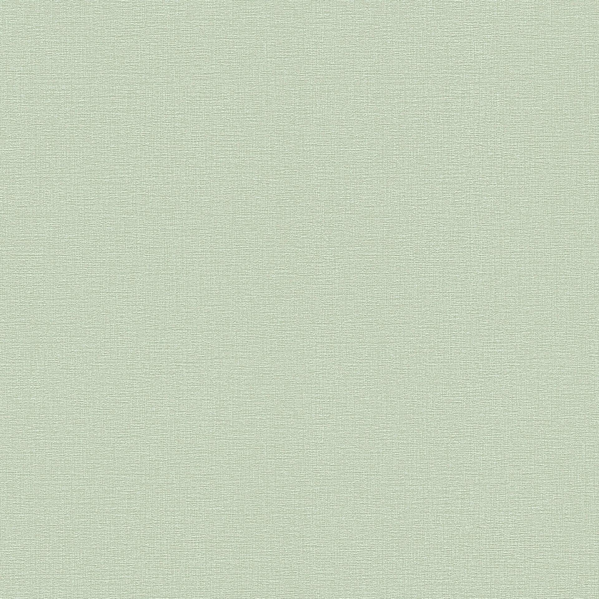 A.S. Création Vliestapete Greenery Tapete Uni grün