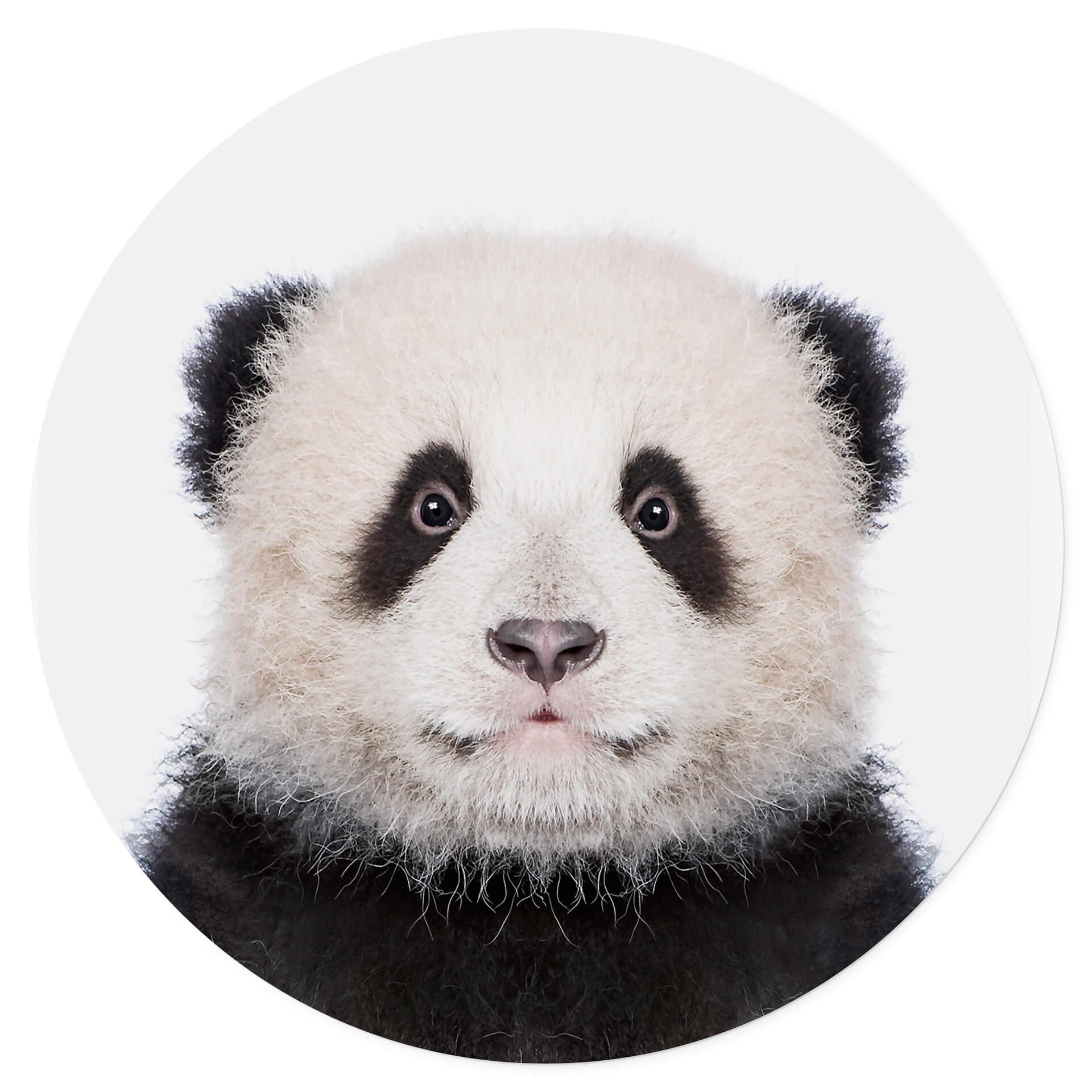 Vinilo decorativo Sisi & Seb - Panda bebé - Redondo