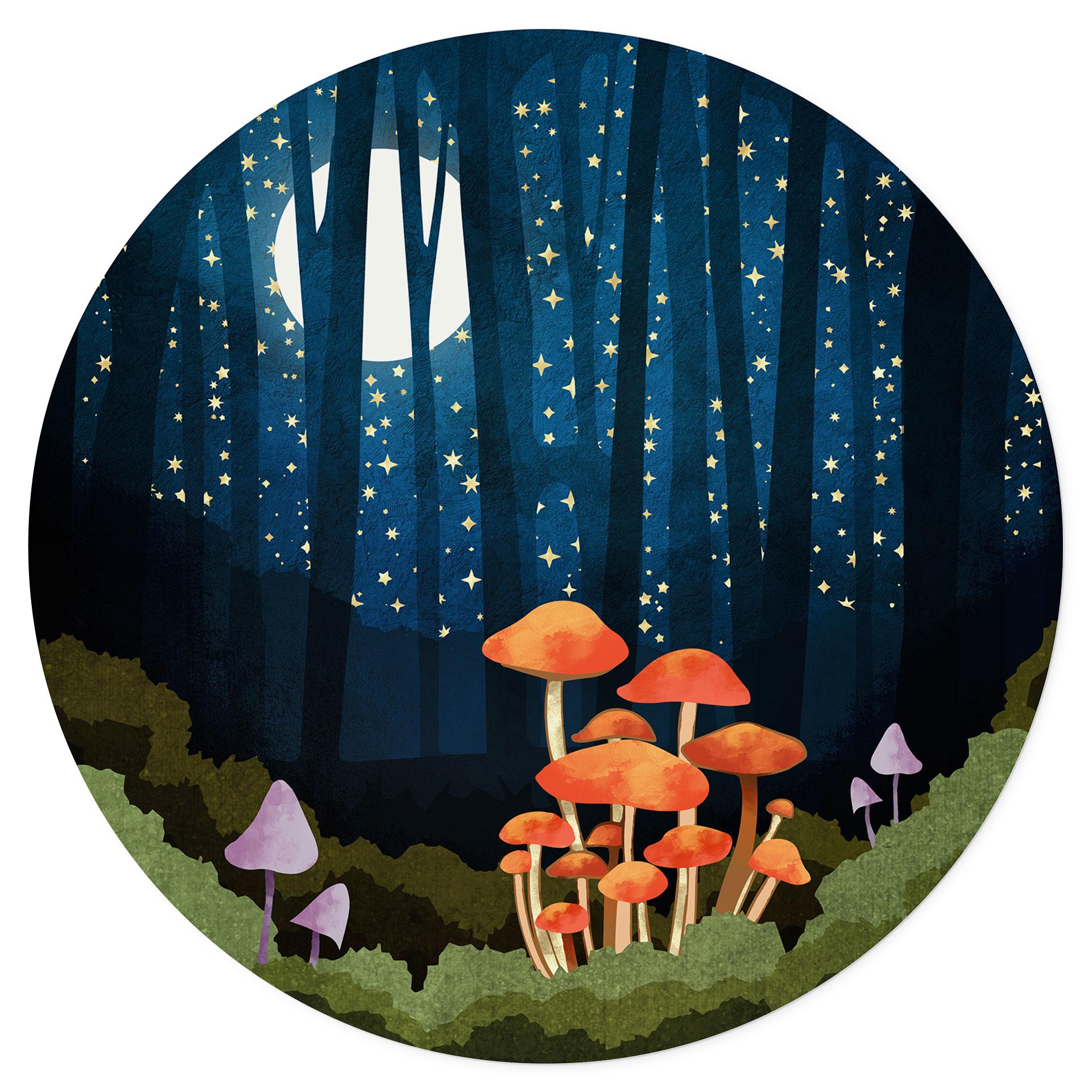 Vinilo decorativo Bosque y estrellas de noche - SpaceFrog Designs - Redondo