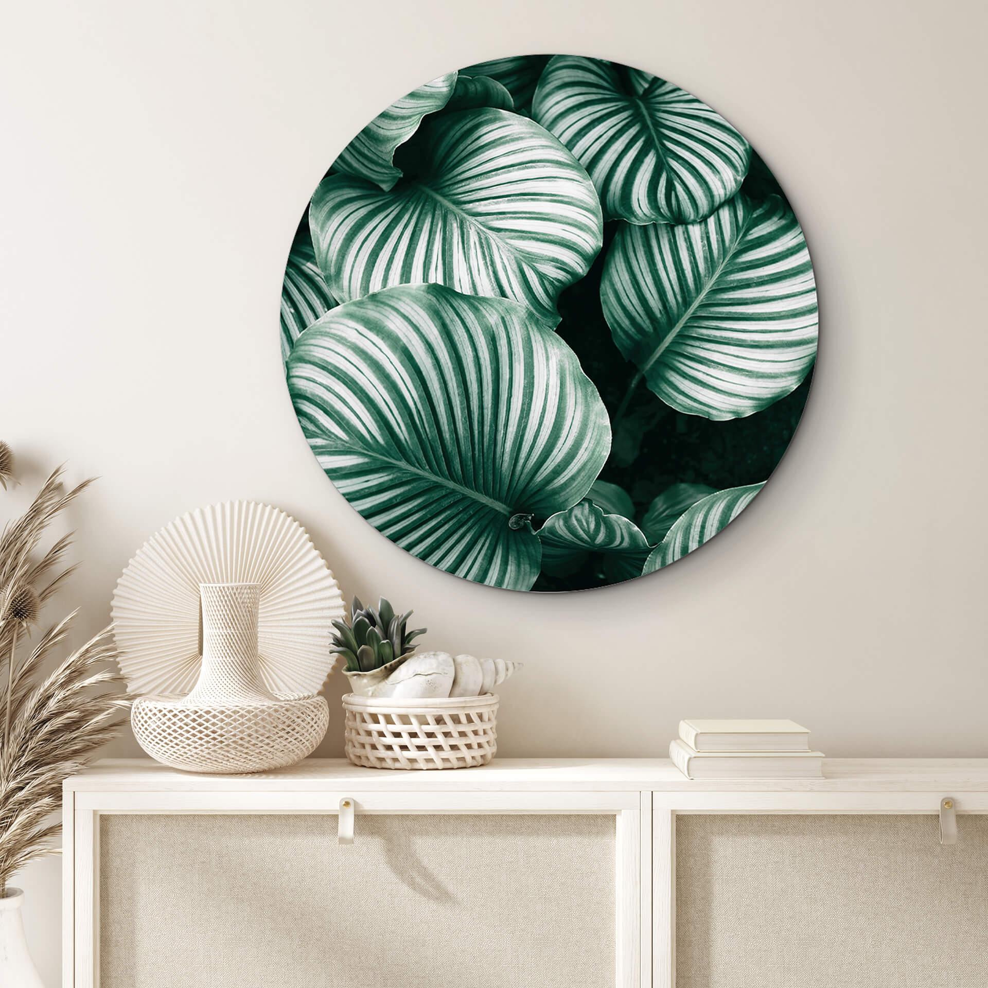 Wandcirkel Urban Jungle - Calathea Orbifolia