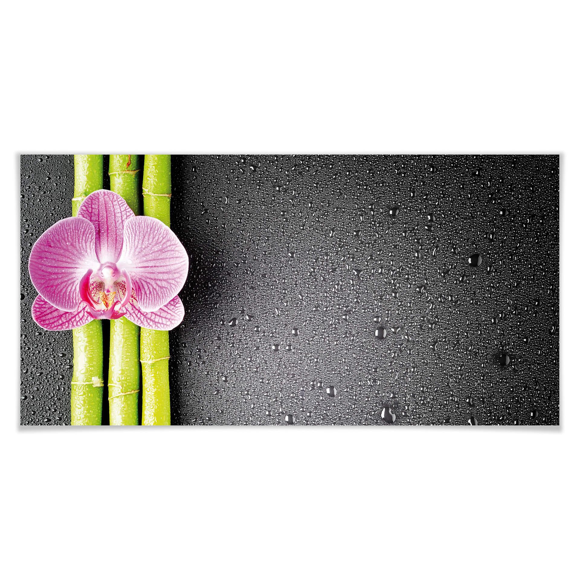 Poster - Orchid and Bamboo - Panorama 02