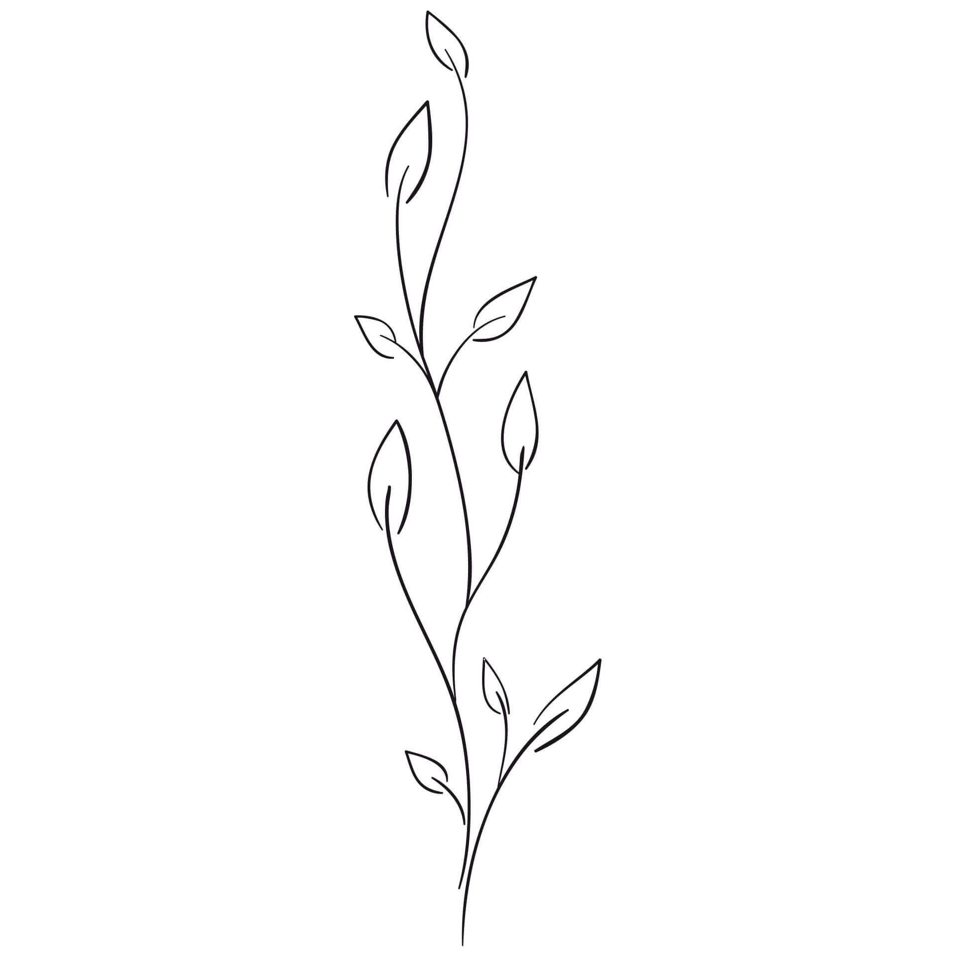 Wandtattoo Ranke