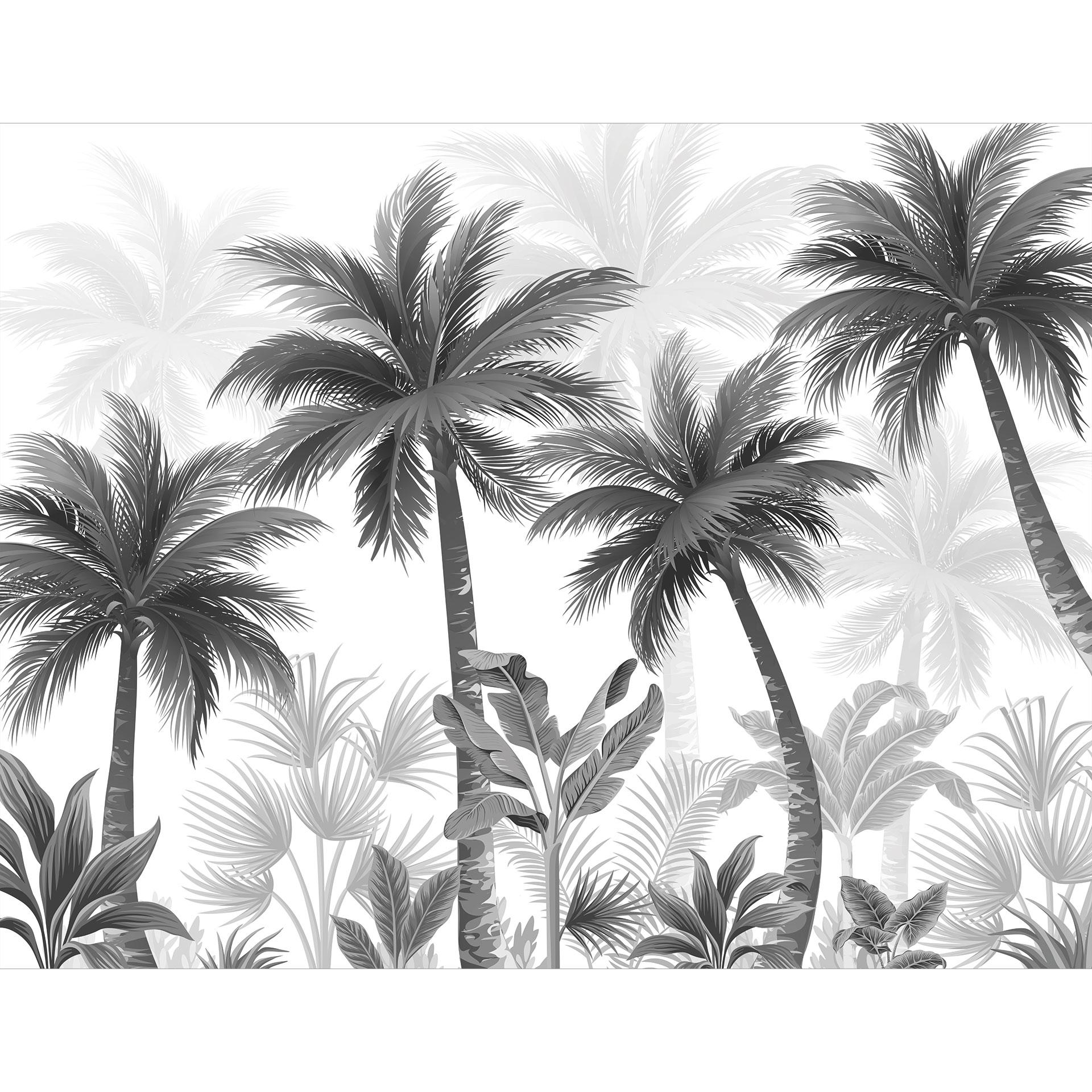 Exotische palmbomen Fotobehang
