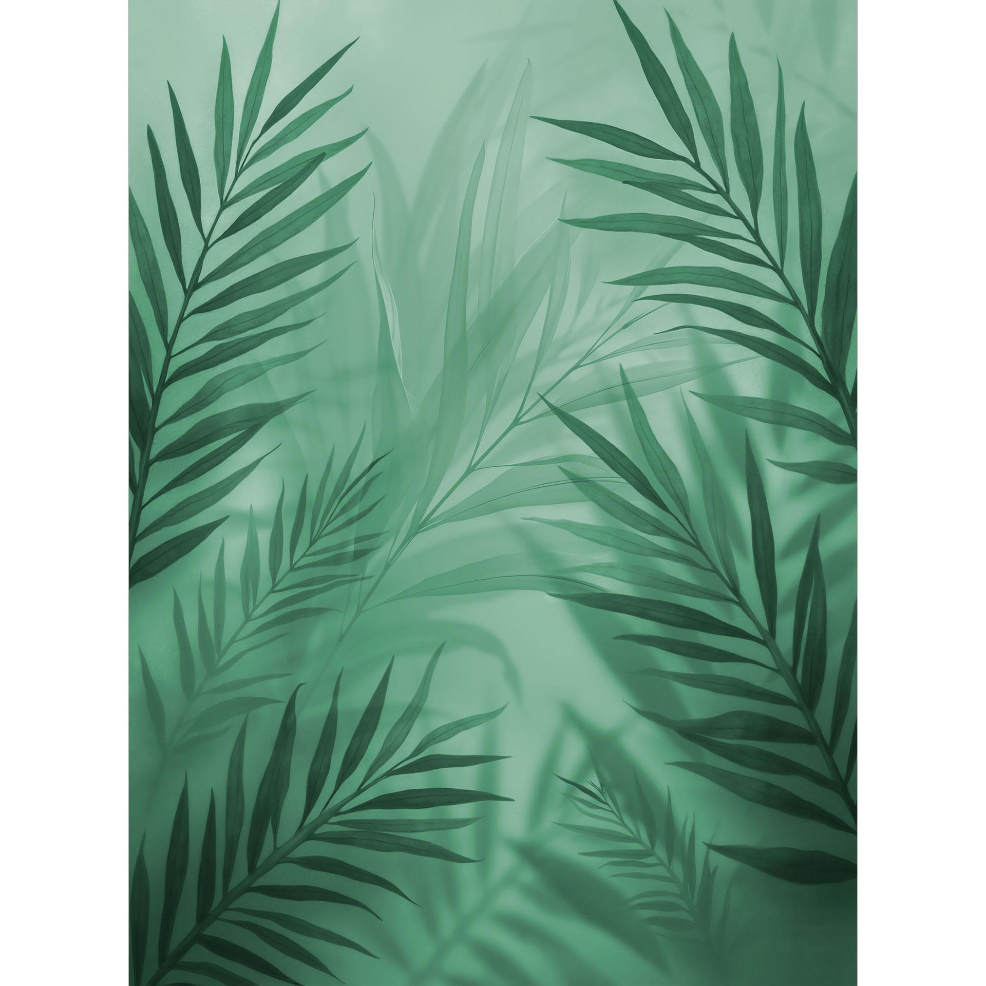 Groene palmbladeren Fotobehang