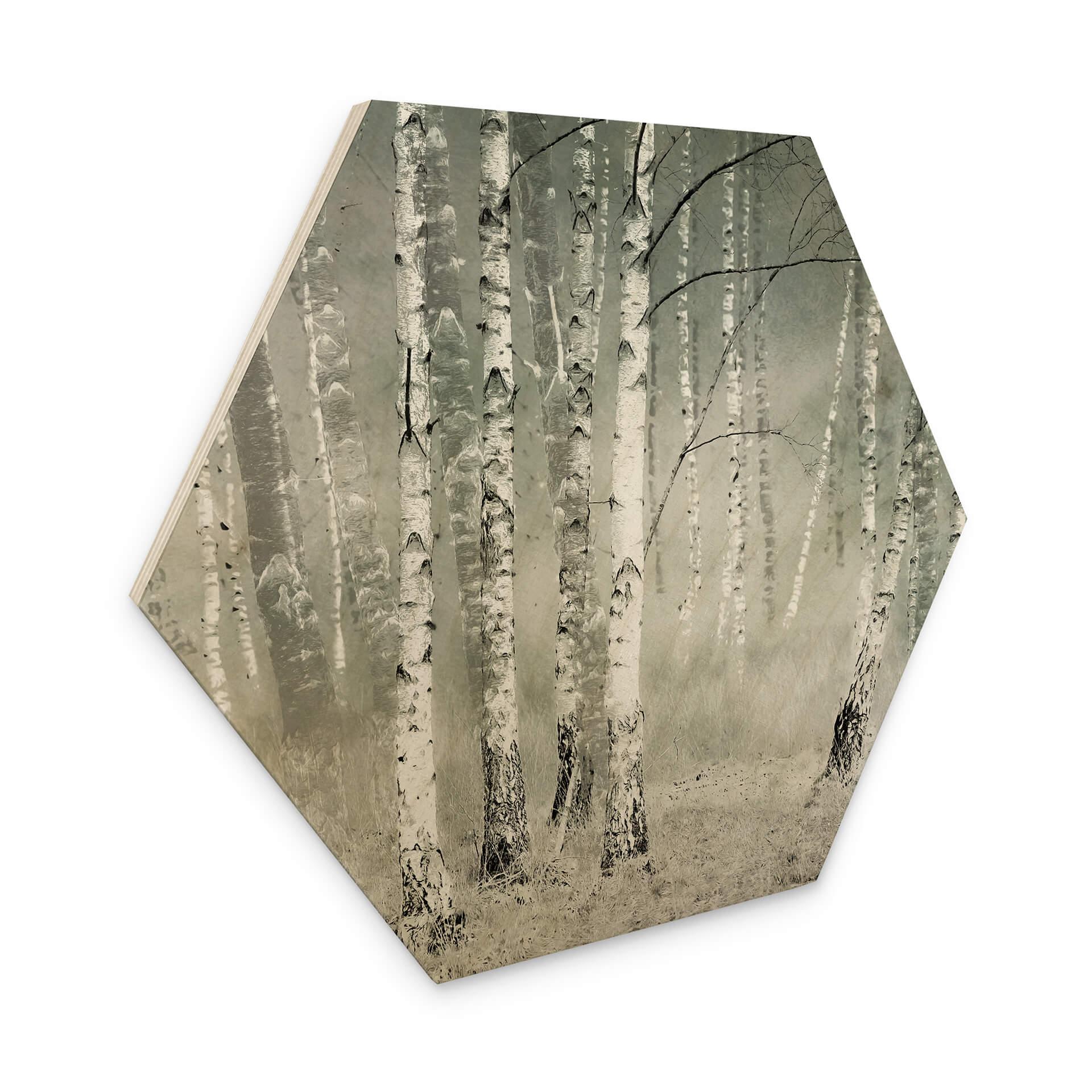 Hexagone - Bois Talen - Repos matinal