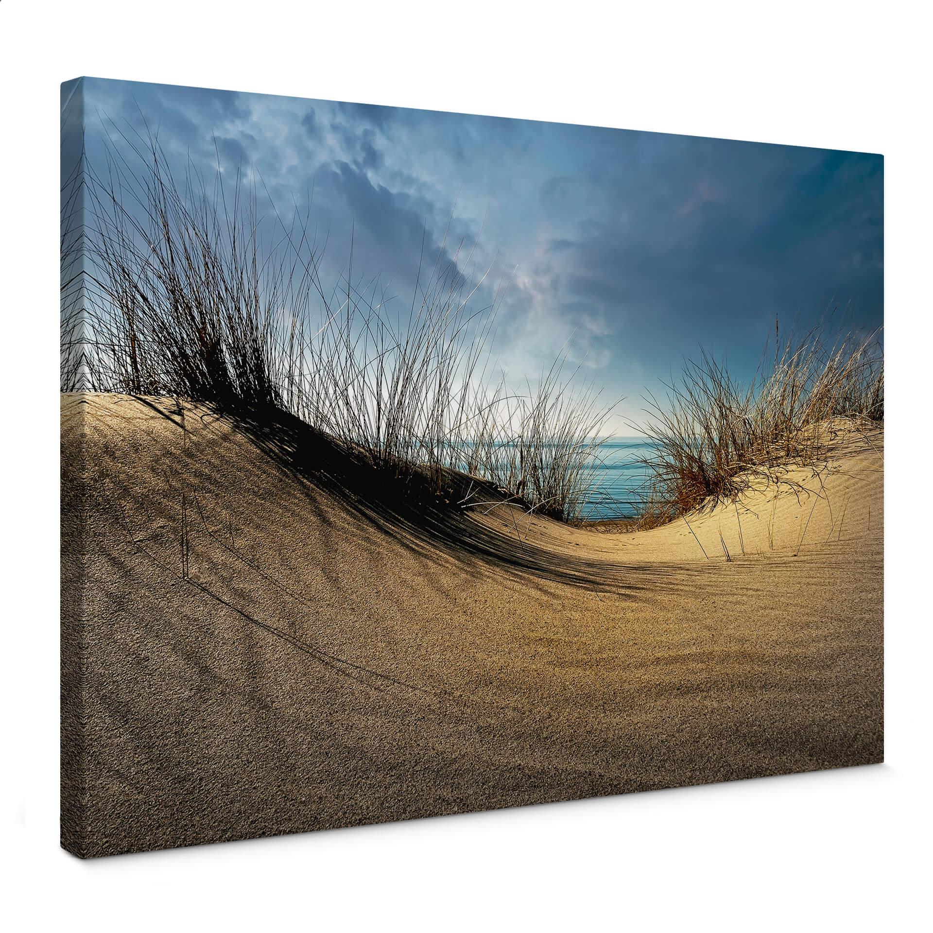 Lienzo Schuurmans - Dunas de playa