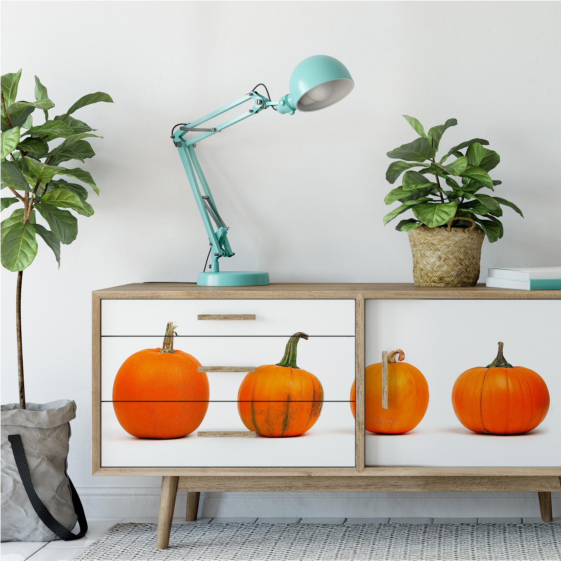 Wallprint Varietà di zucca - Panorama