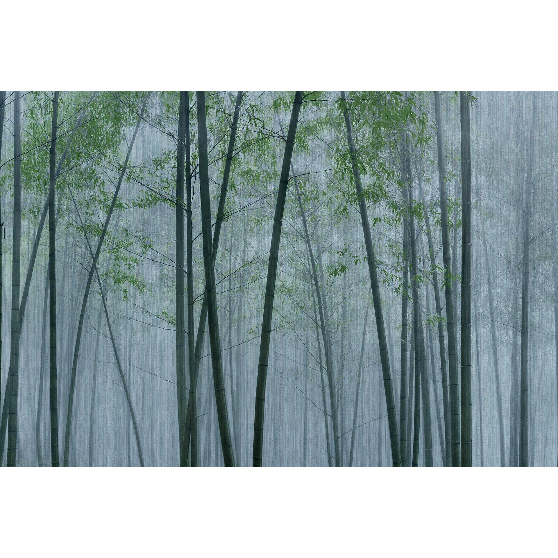 Livingwalls Fotobehang Walls by Patel 3 In the Bamboo