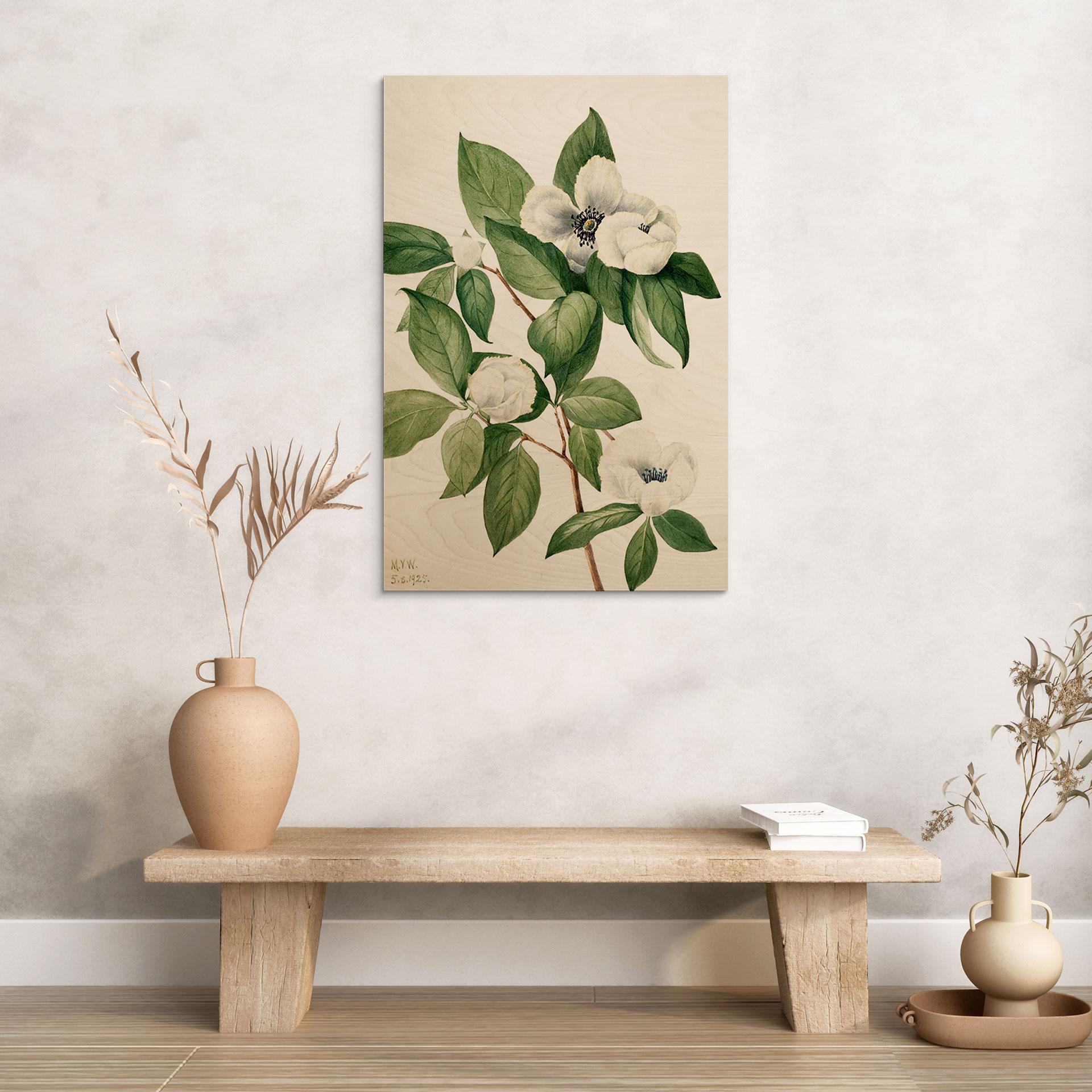 Billede af træ botanisk illustration af en falsk kamelia - Walcott