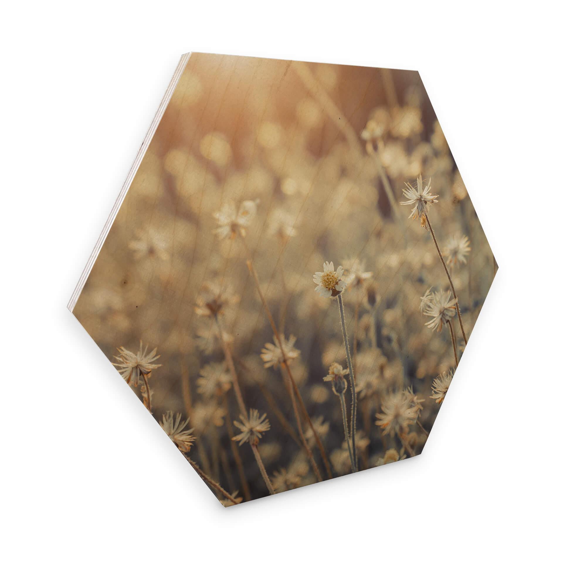 Hexagon Hout Mexican Daisy
